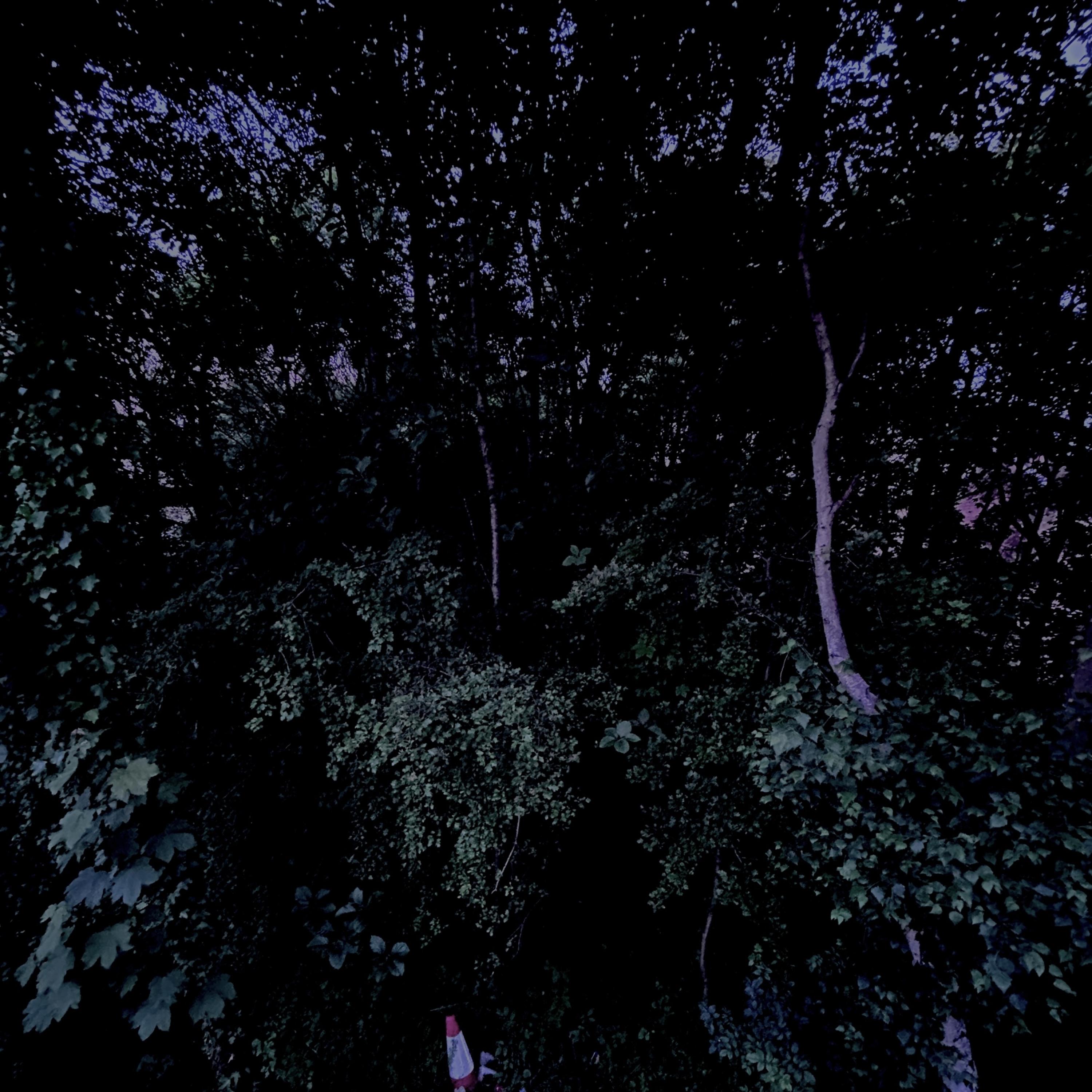 Gray Skies & Hazard Lights artwork