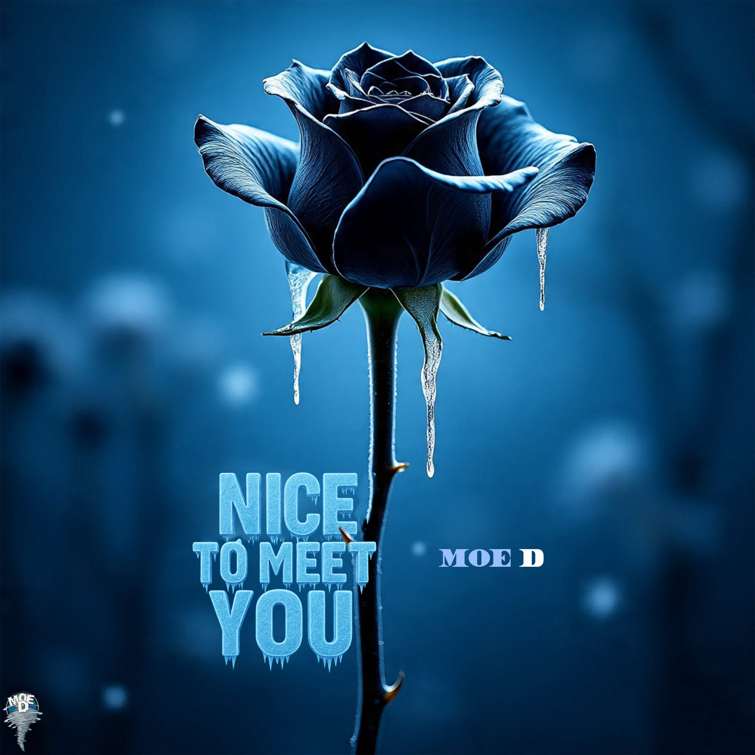 NICE TO MEET YOU artwork