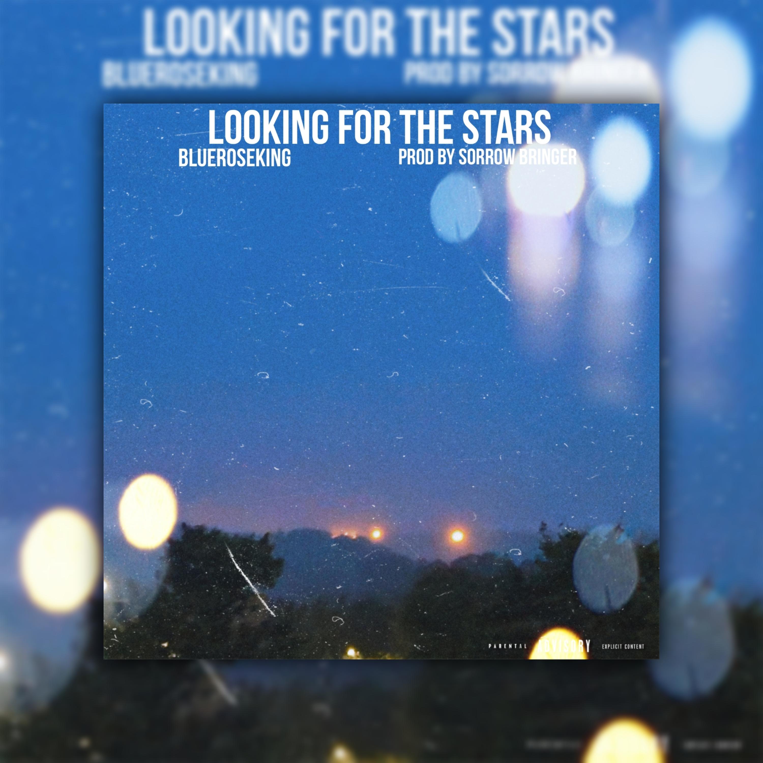 looking for the stars artwork