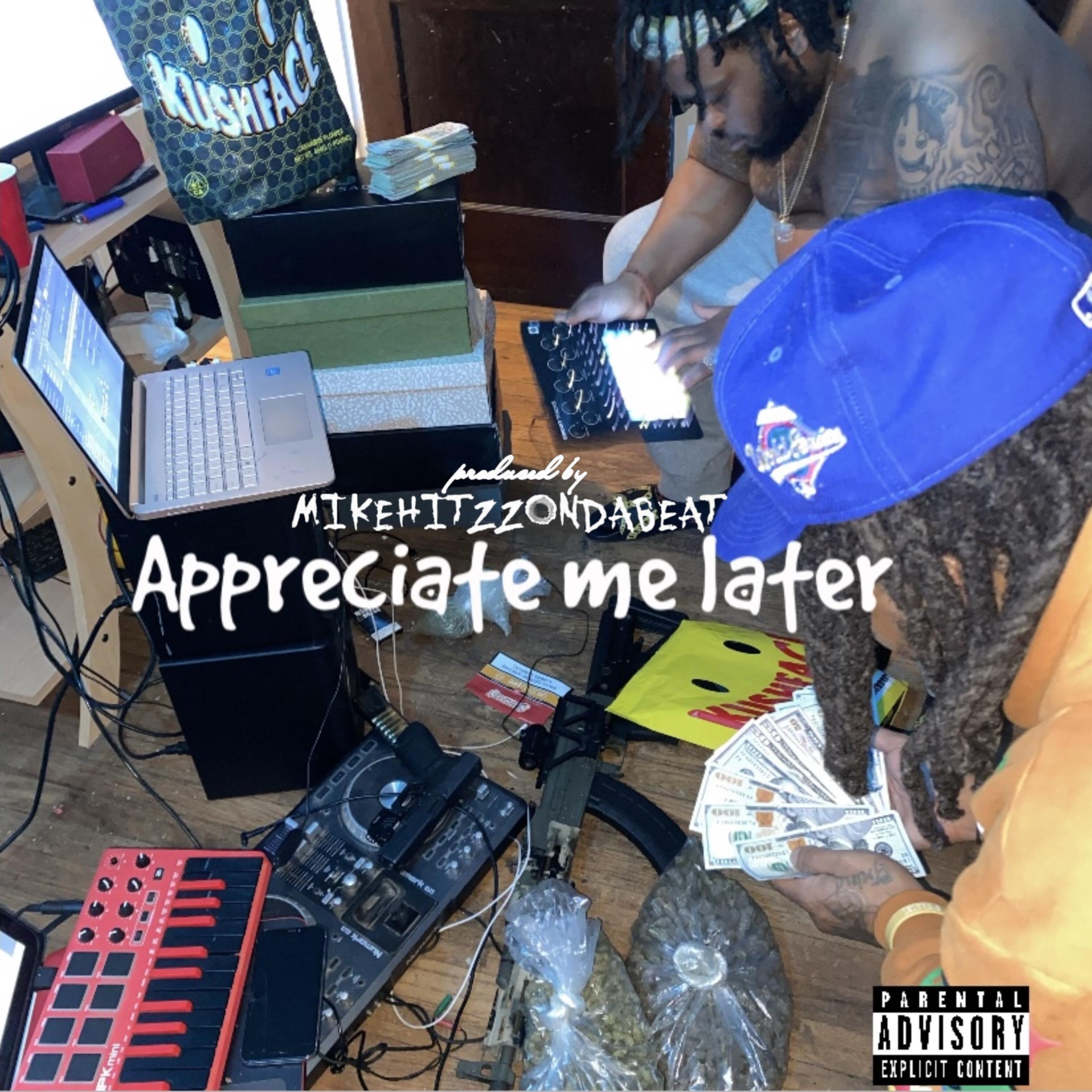 Appreciate Me Later artwork
