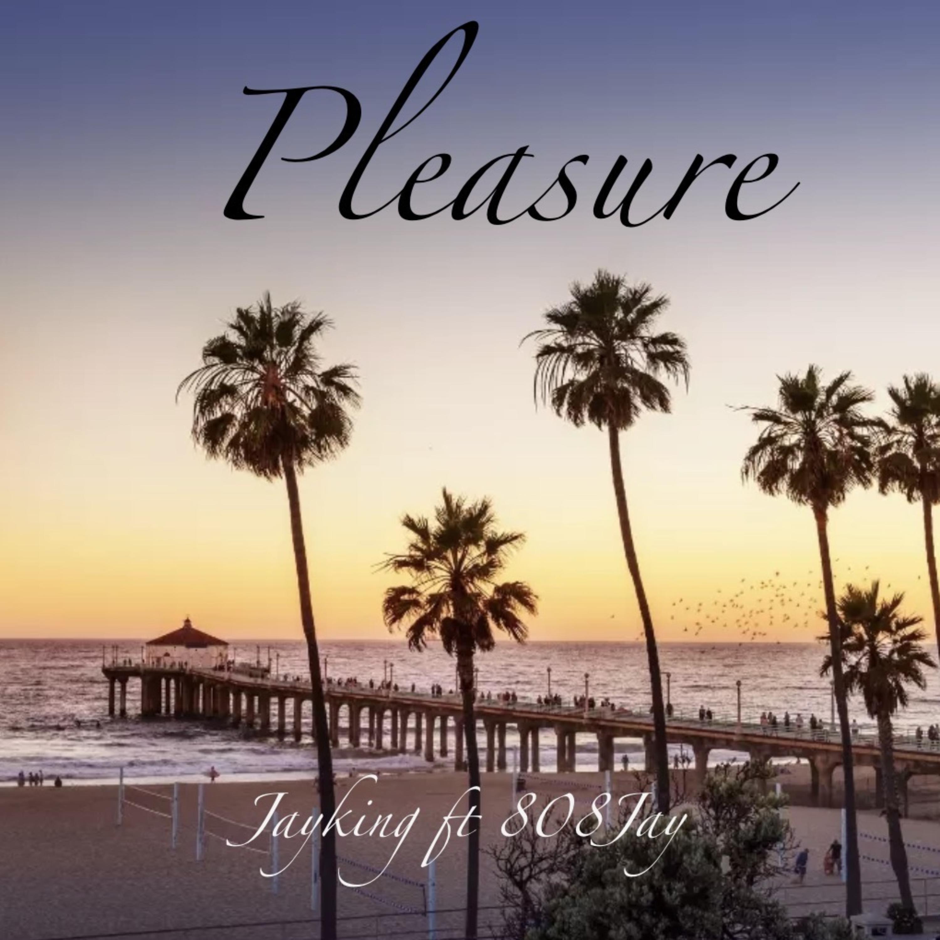 Pleasure artwork