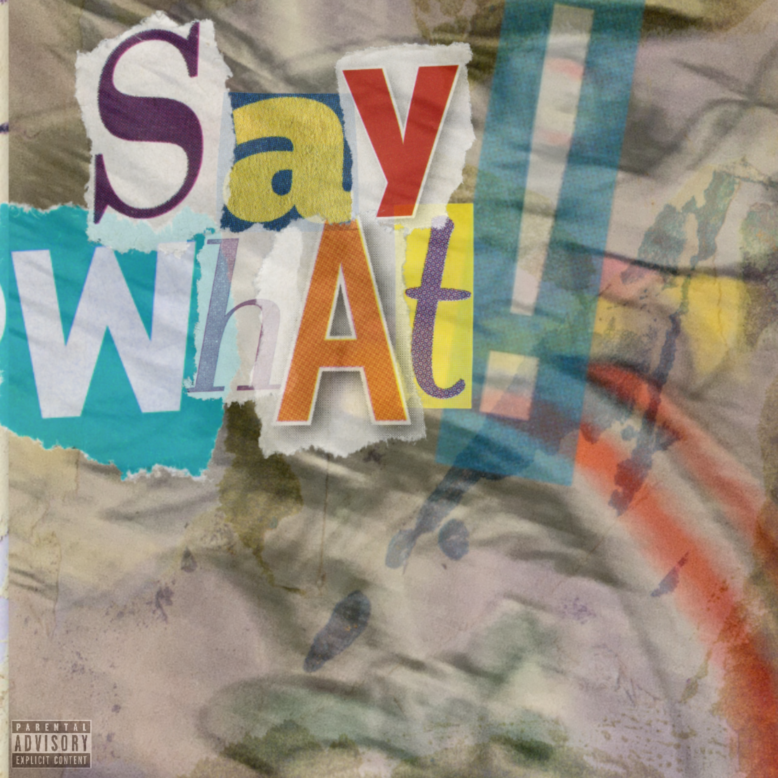 SAY WHAT! artwork