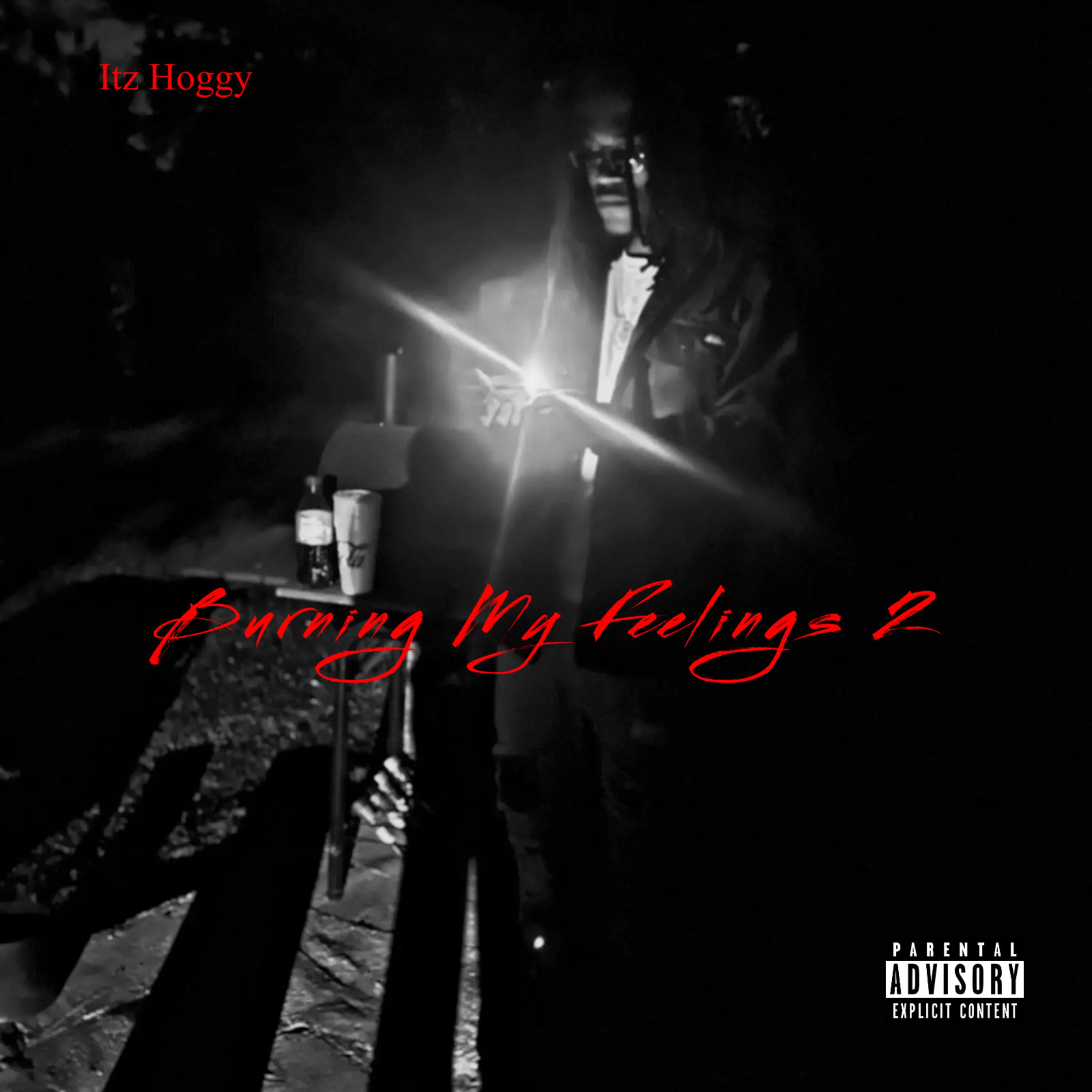 Burning My Feeling 2 by Itz Hoggy cover art