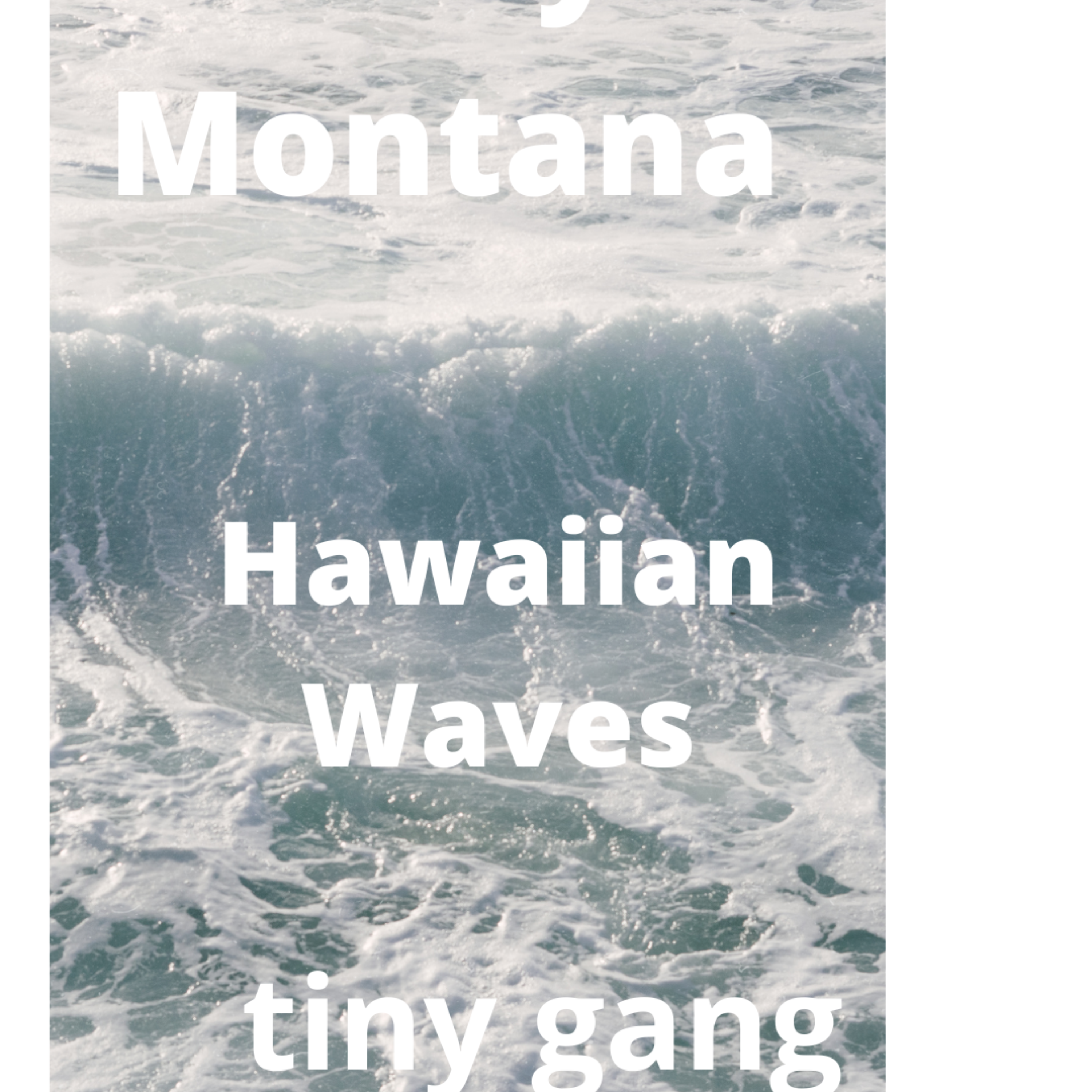 Hawaiian Waves by Chino Vapors cover art