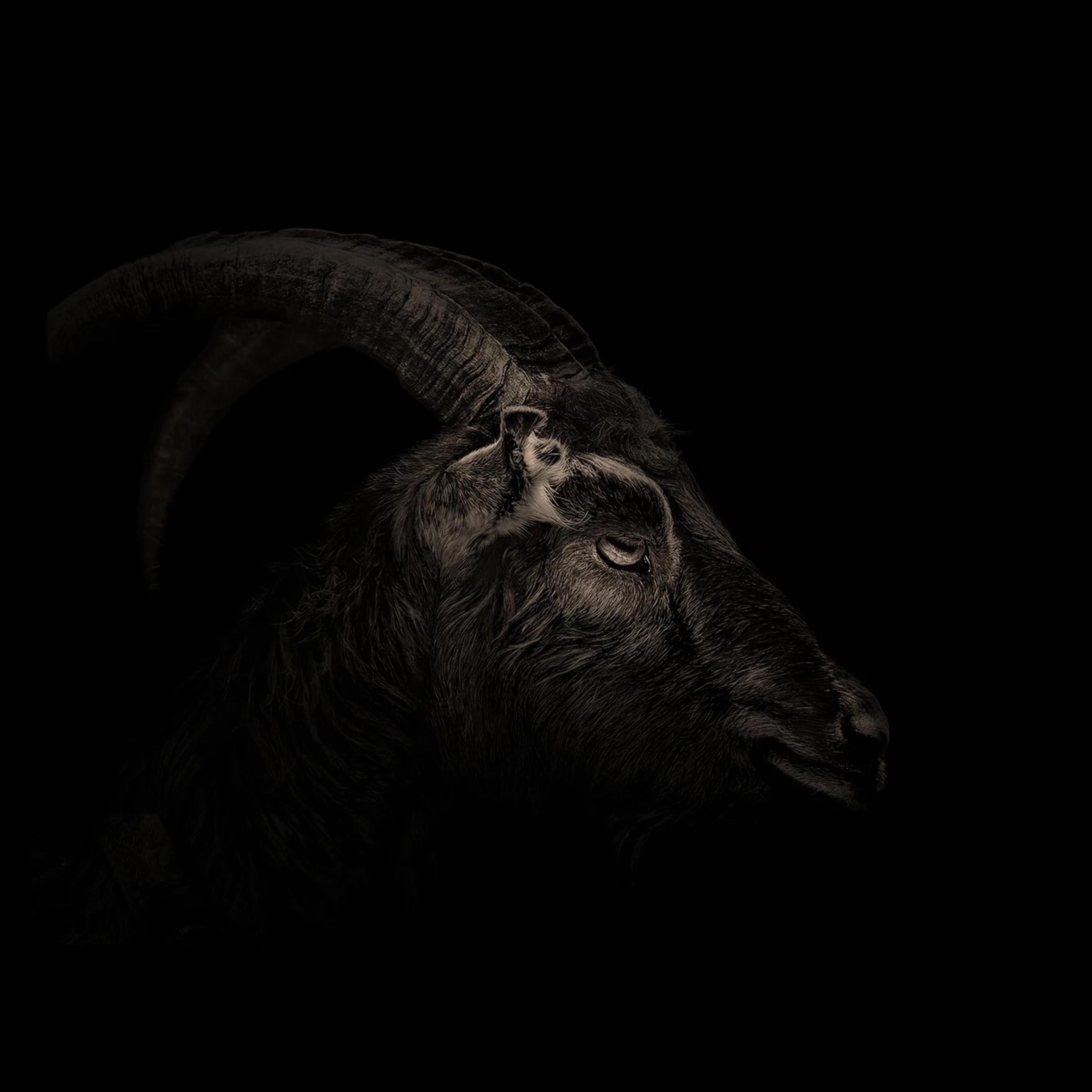 All Black artwork