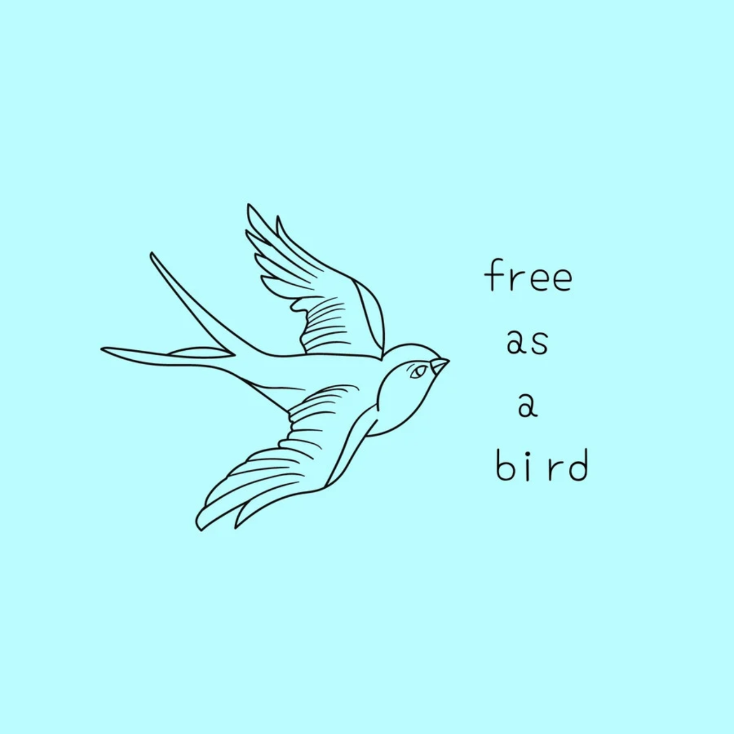 BIRD artwork
