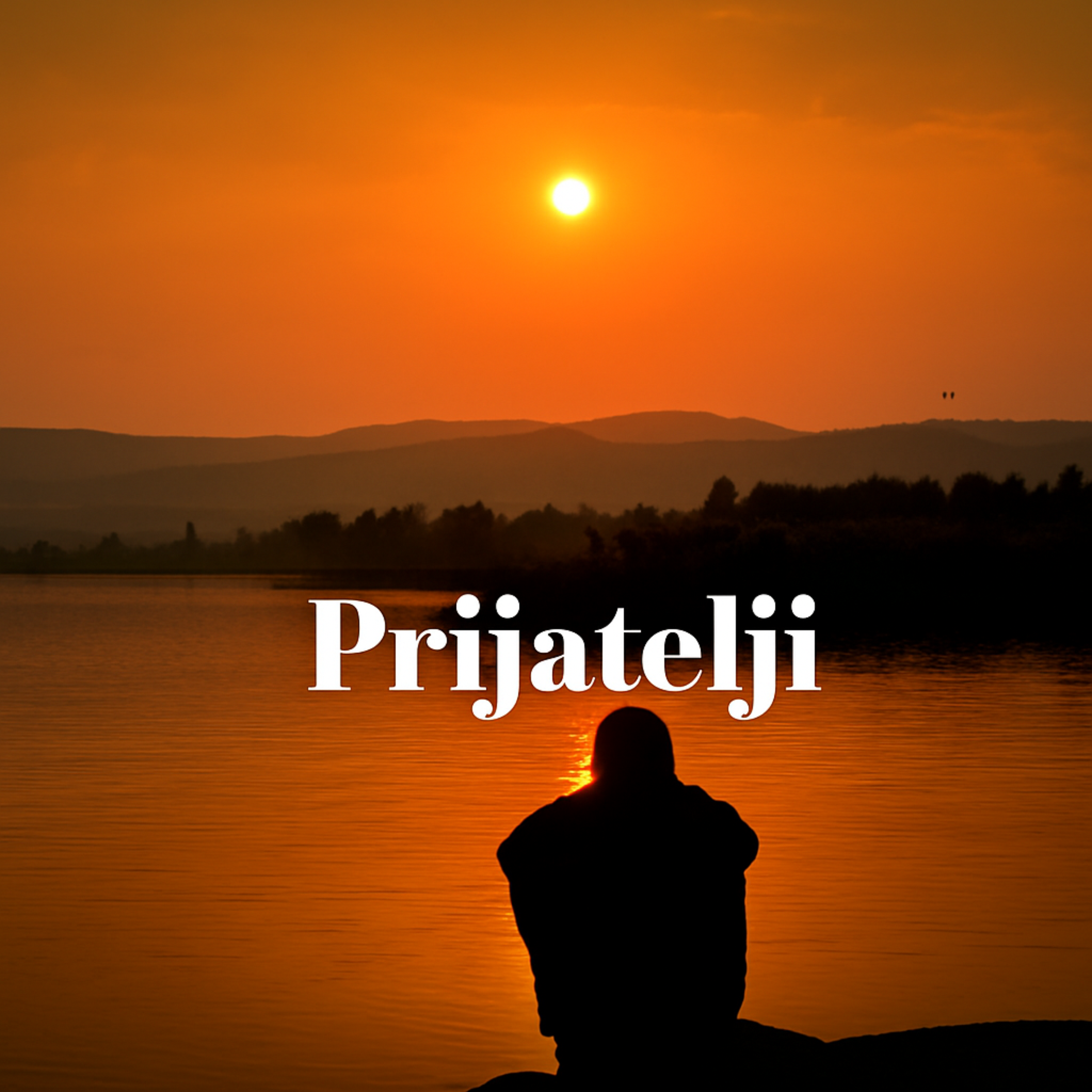 Prijatelji artwork