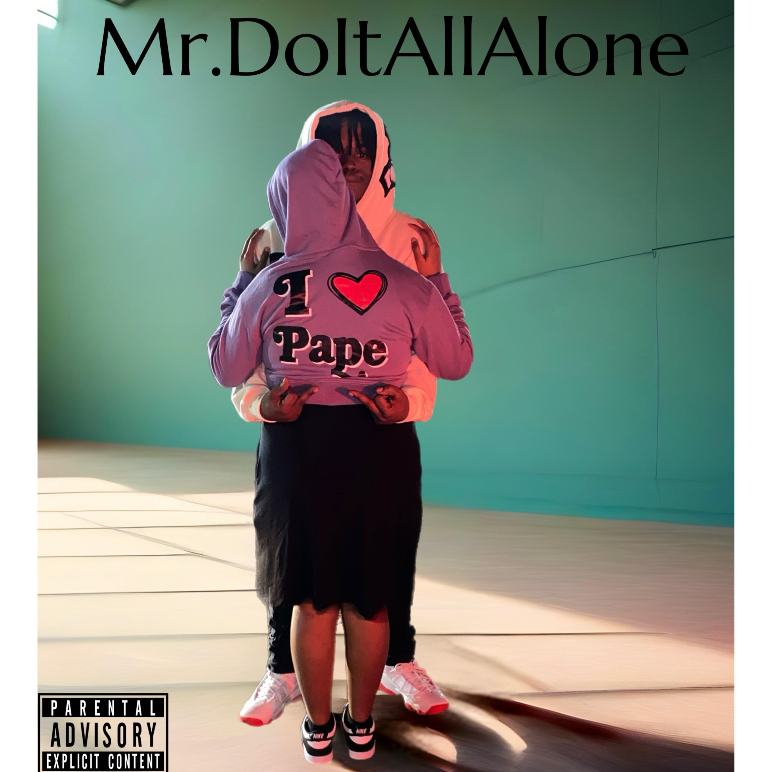 Mr. Do It All Alone artwork