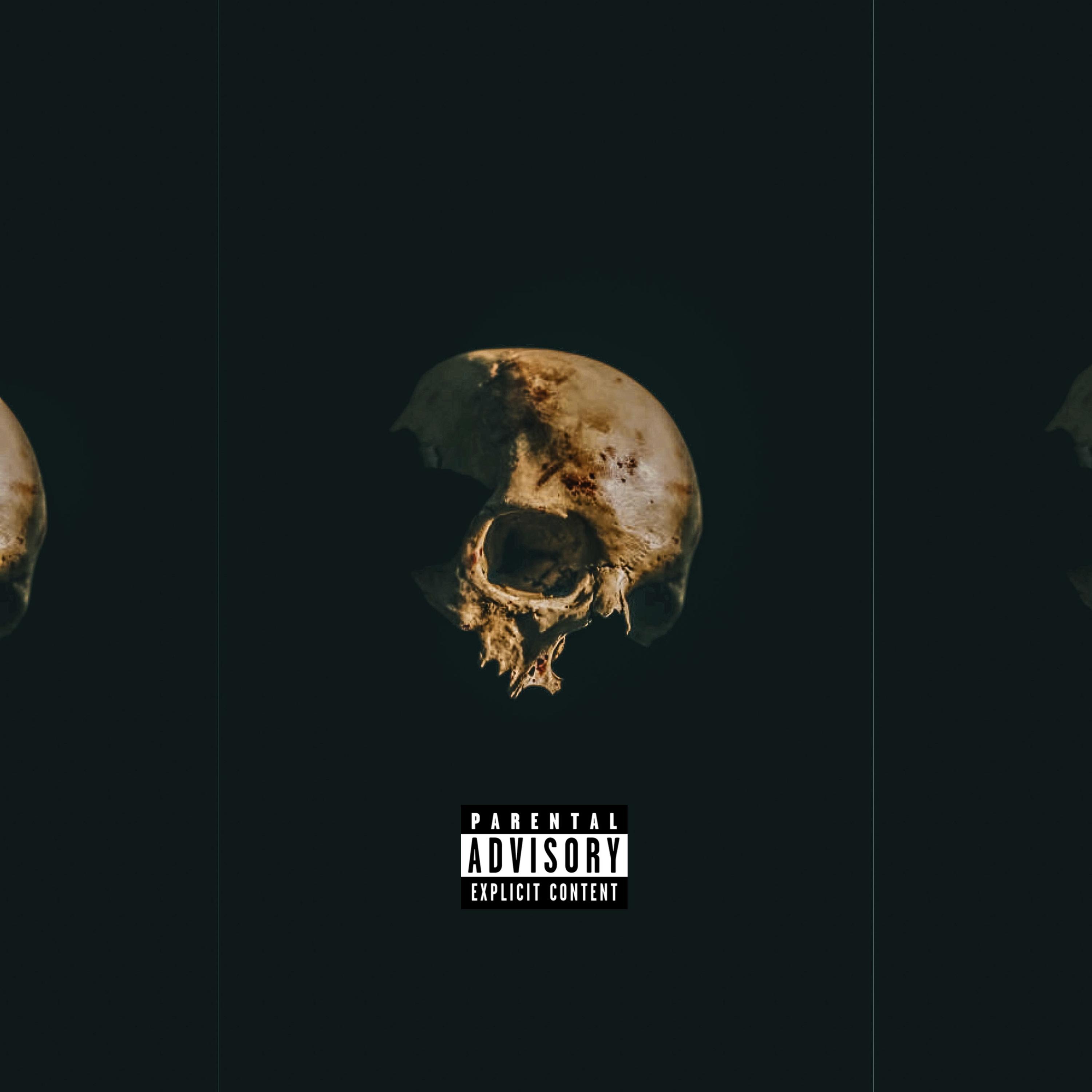 Bone Grizzle artwork