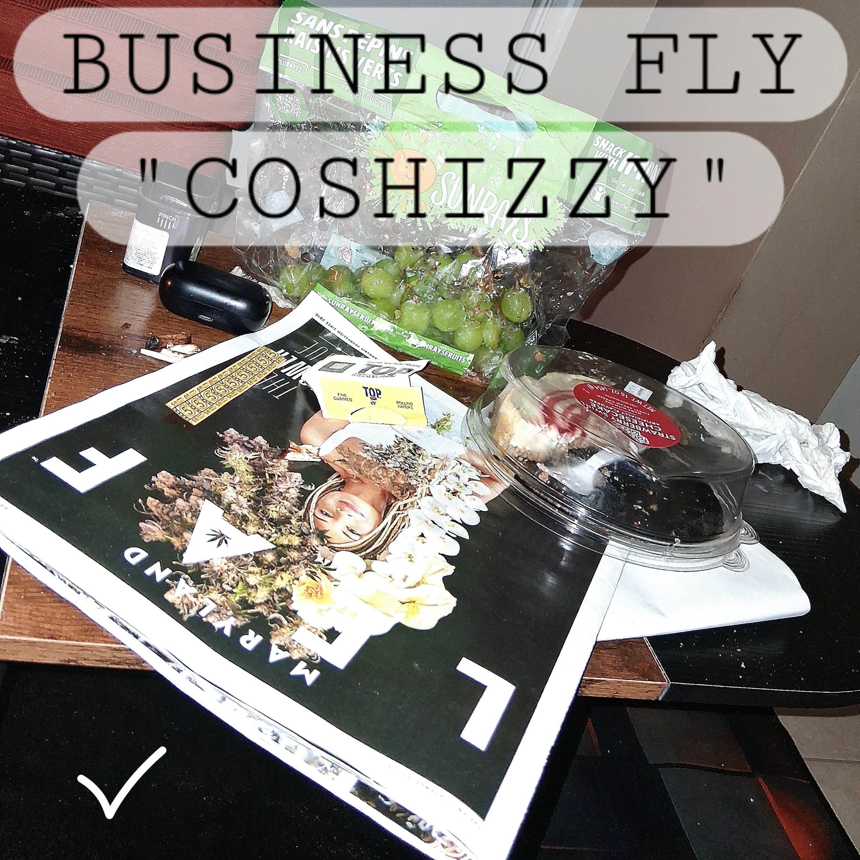 BUSINESS FLY artwork