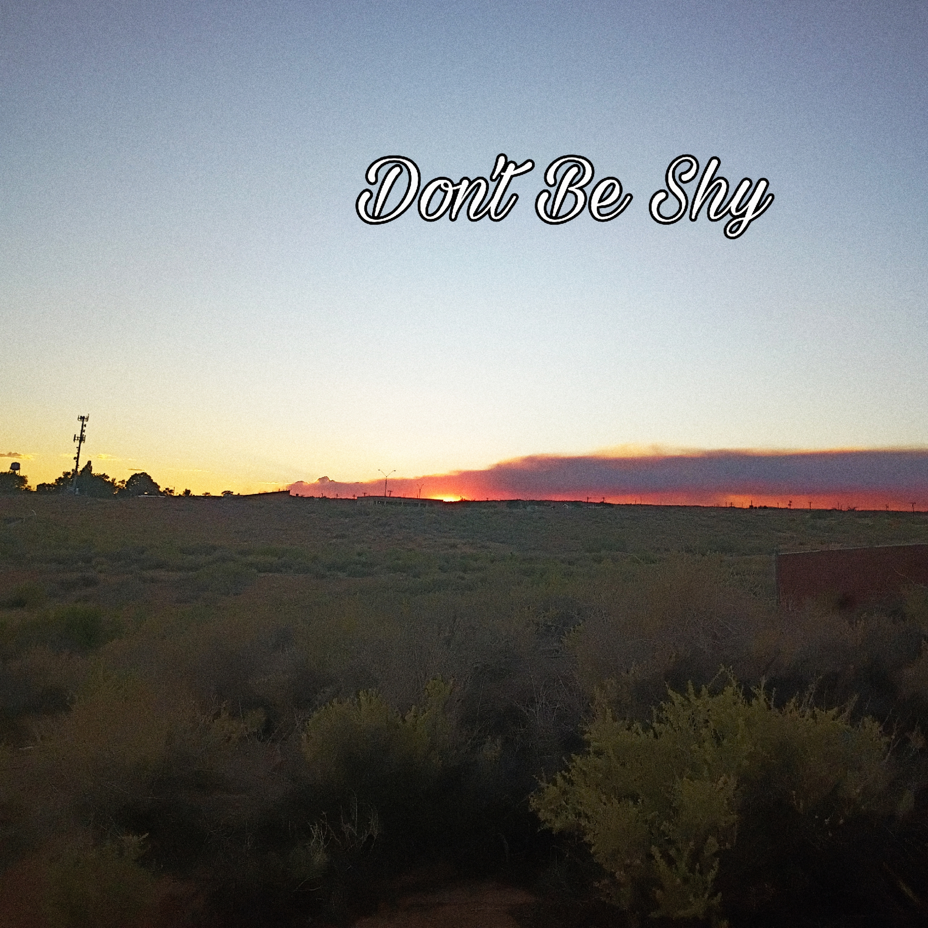 Don't Be Shy artwork