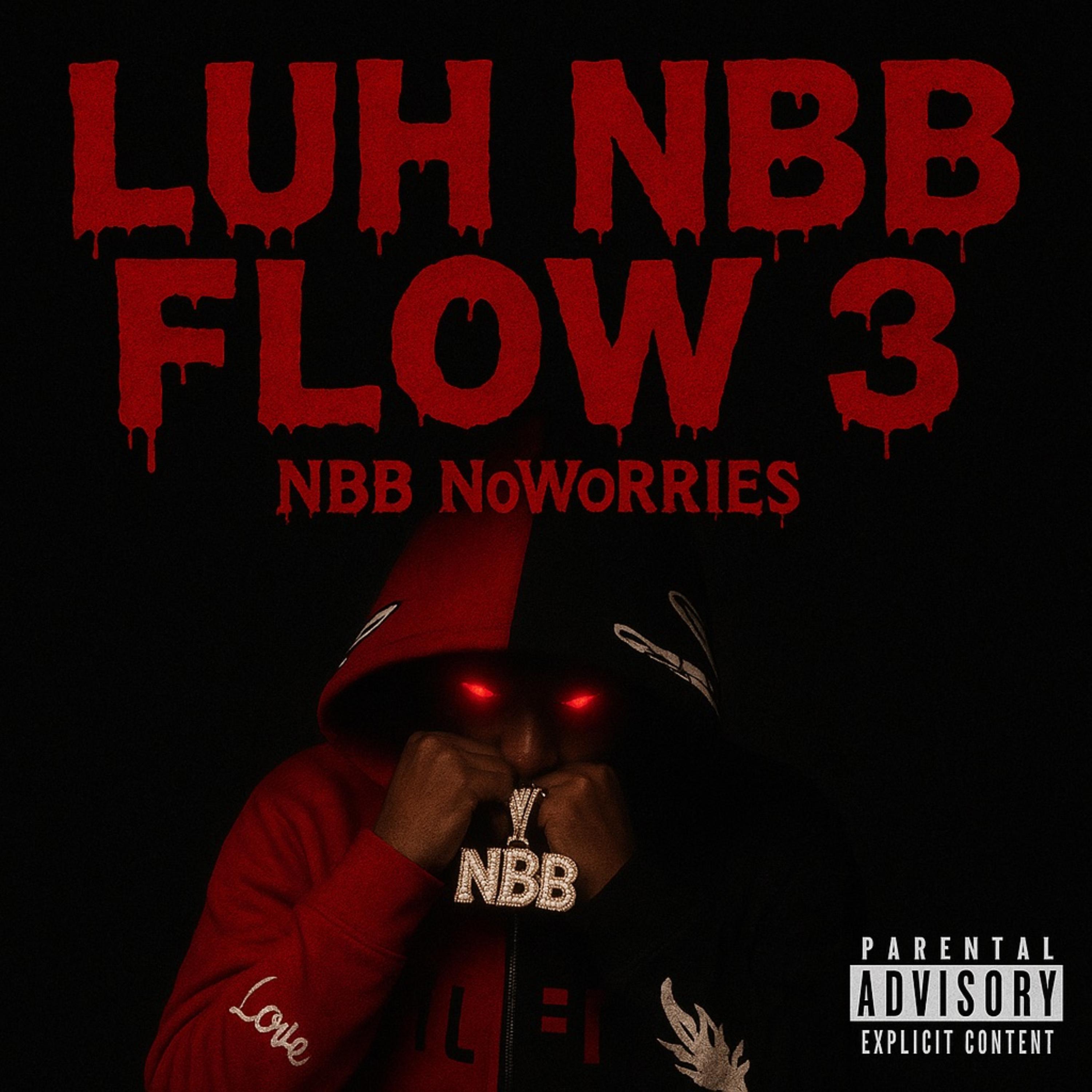 Luh NBB Flow 3 by NBB NoWorries cover art