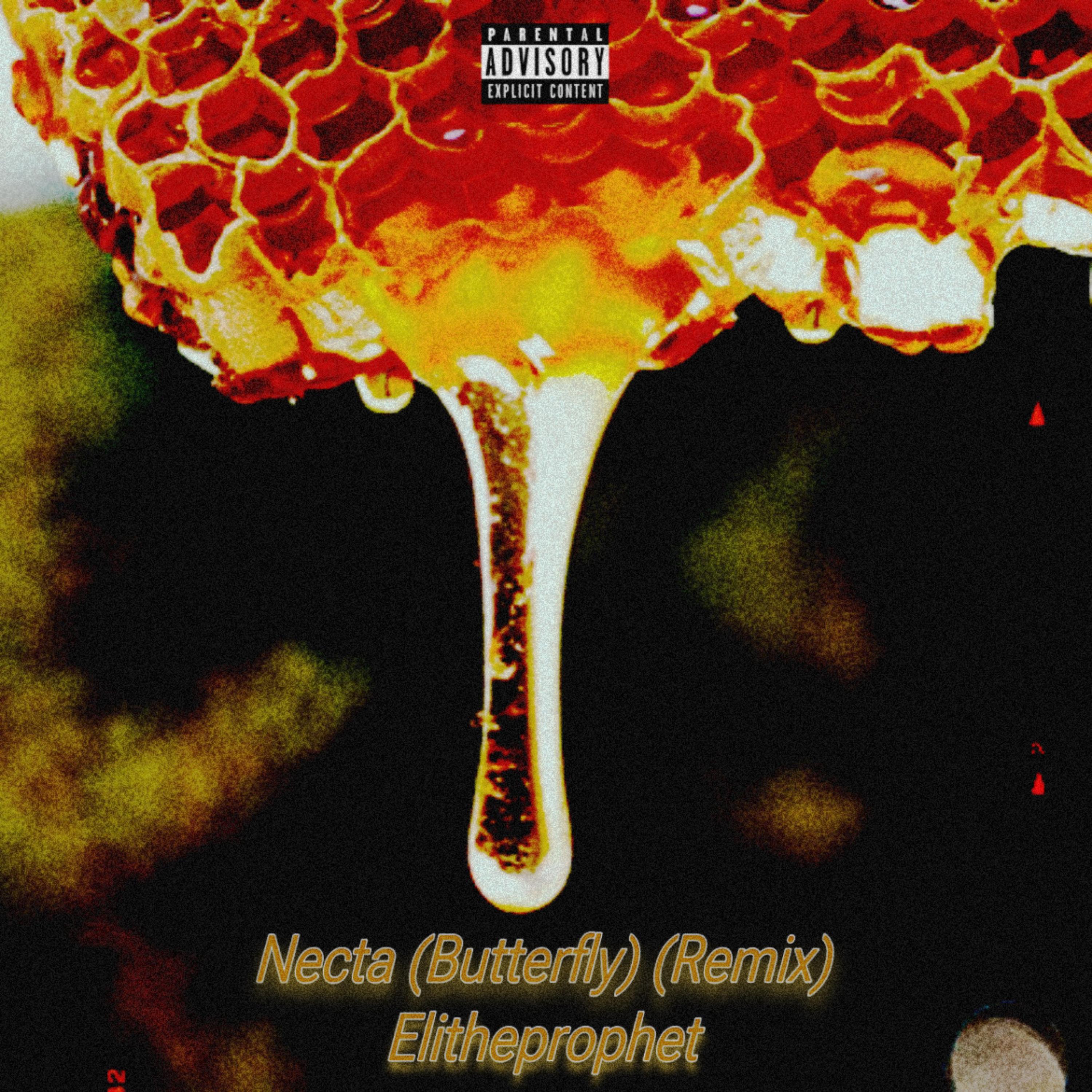 Necta (Butterfly) (Remix) artwork