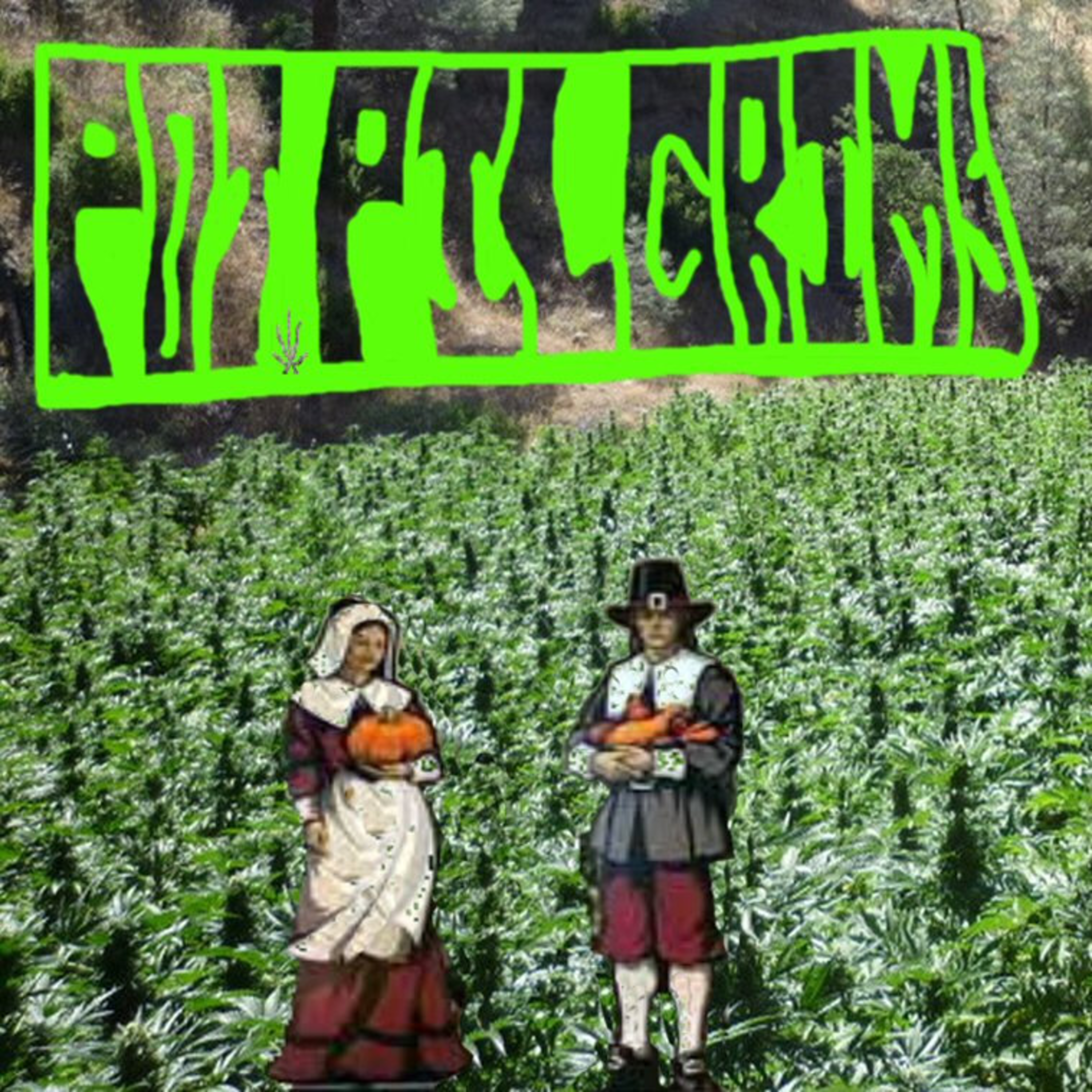 POT PILGRIMS artwork