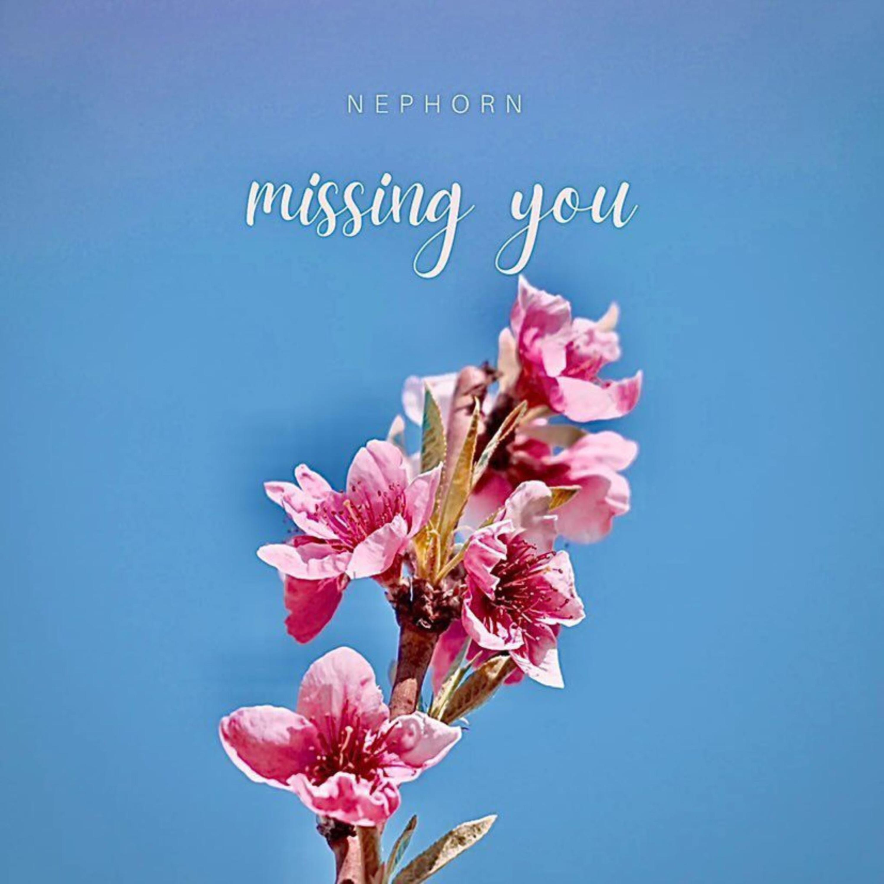 Missing you artwork