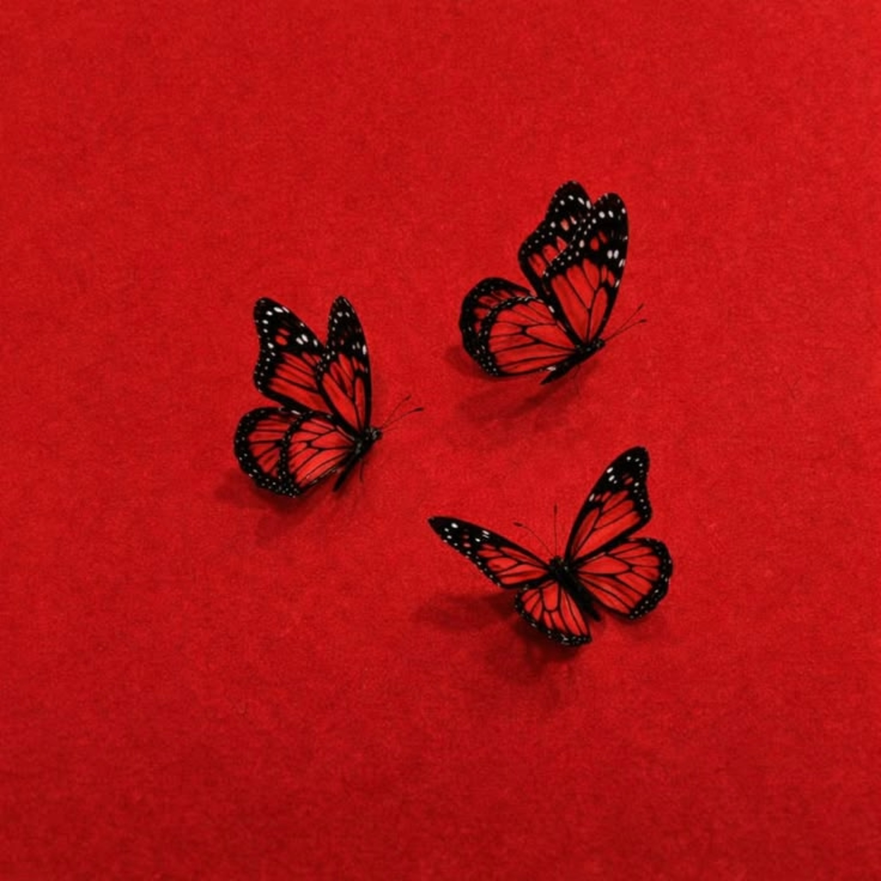 10.17 by Kazi cover art