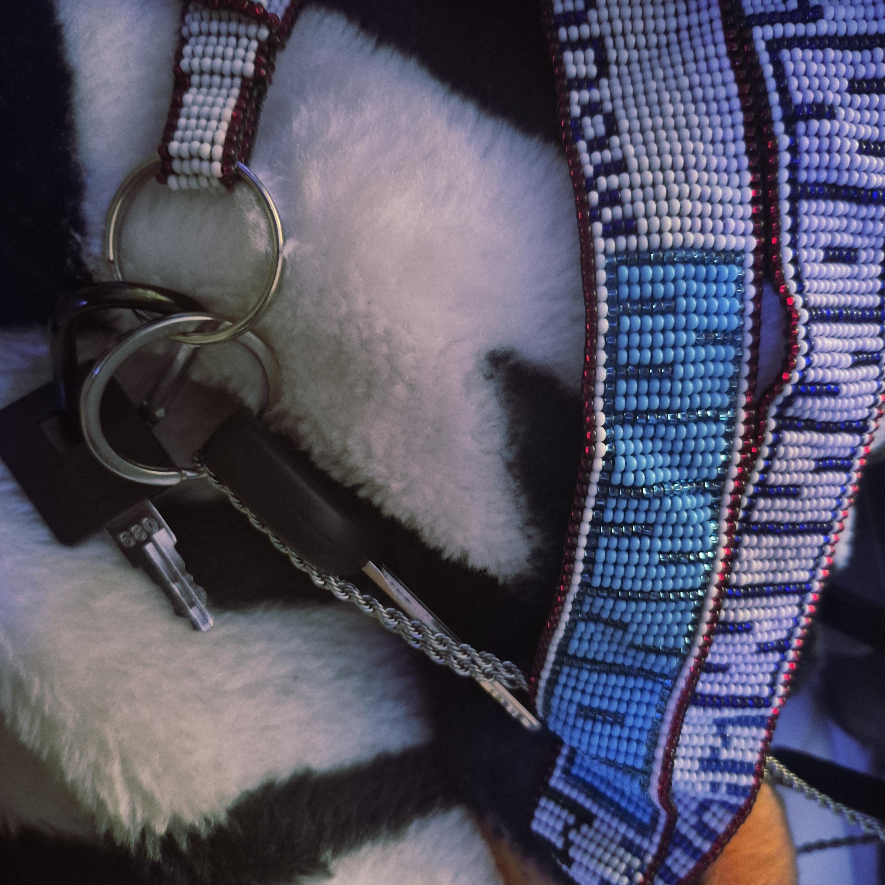borrowed keys artwork