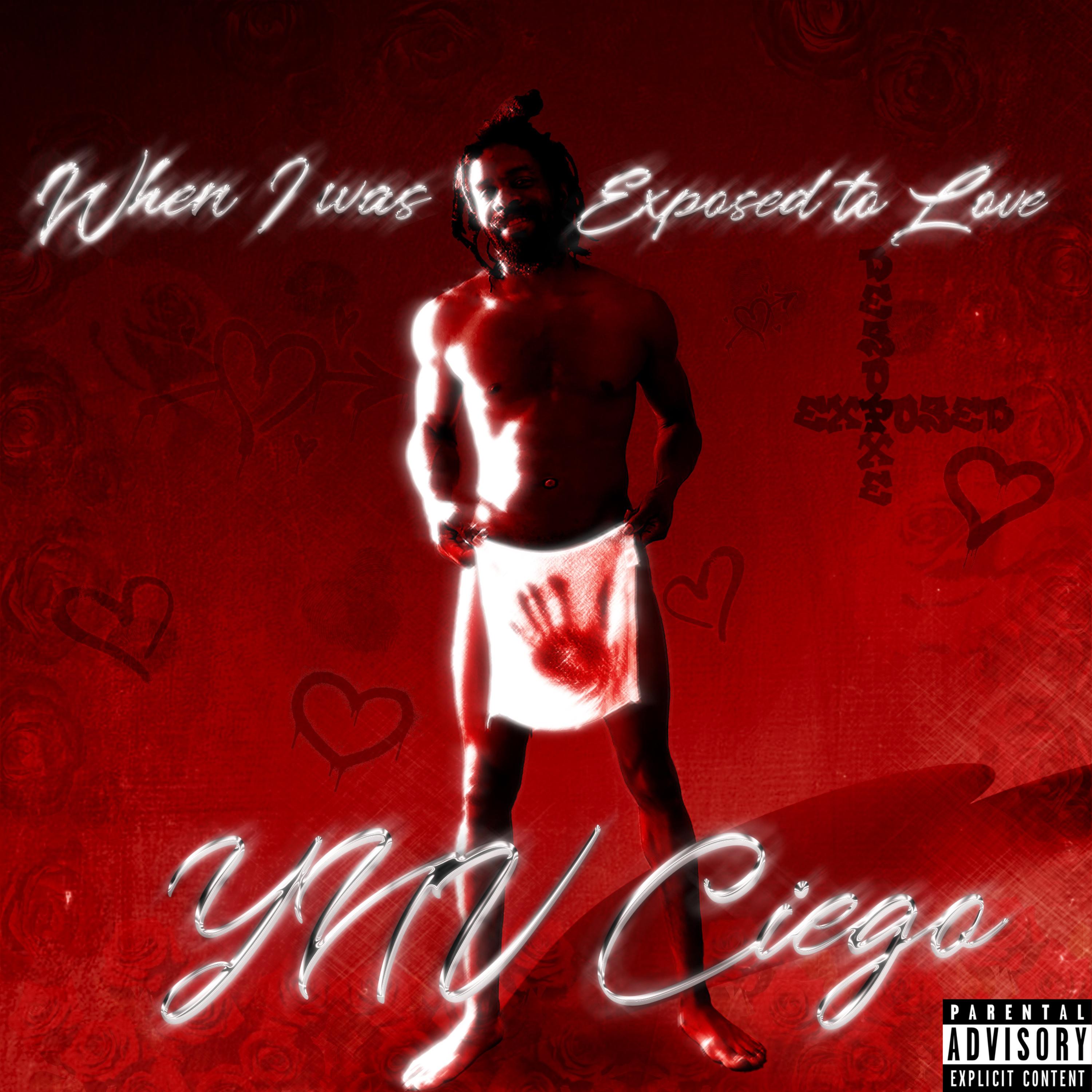 When I Was Exposed To Love artwork
