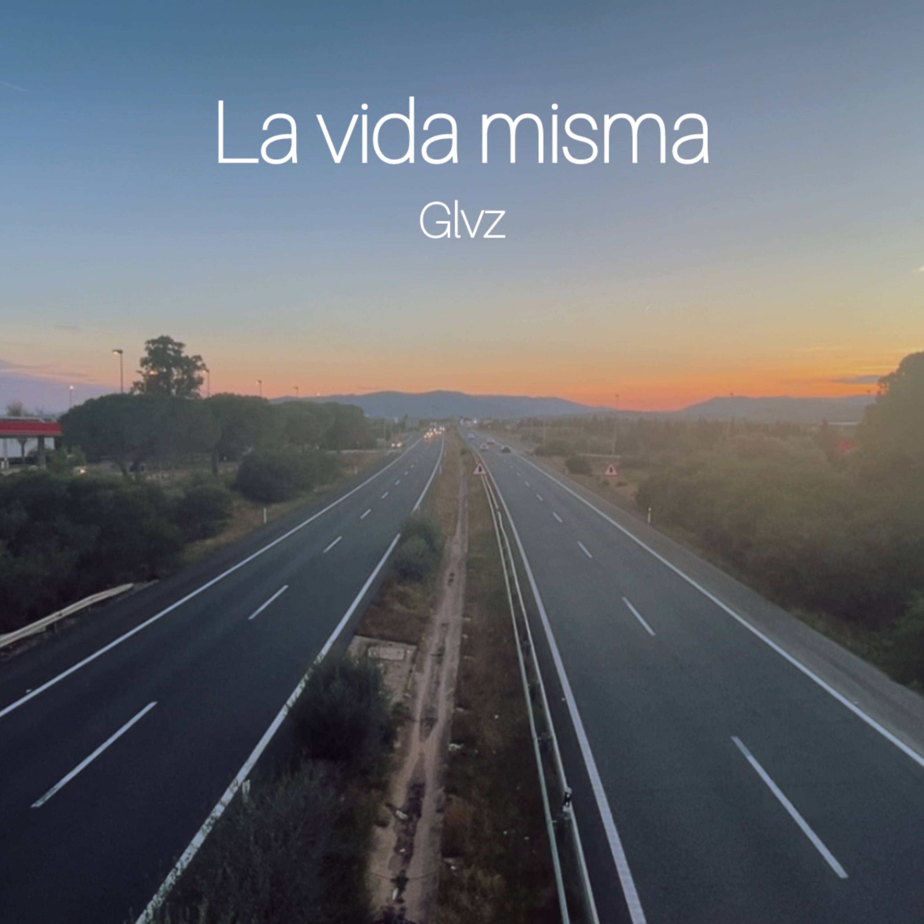 La Vida Misma artwork