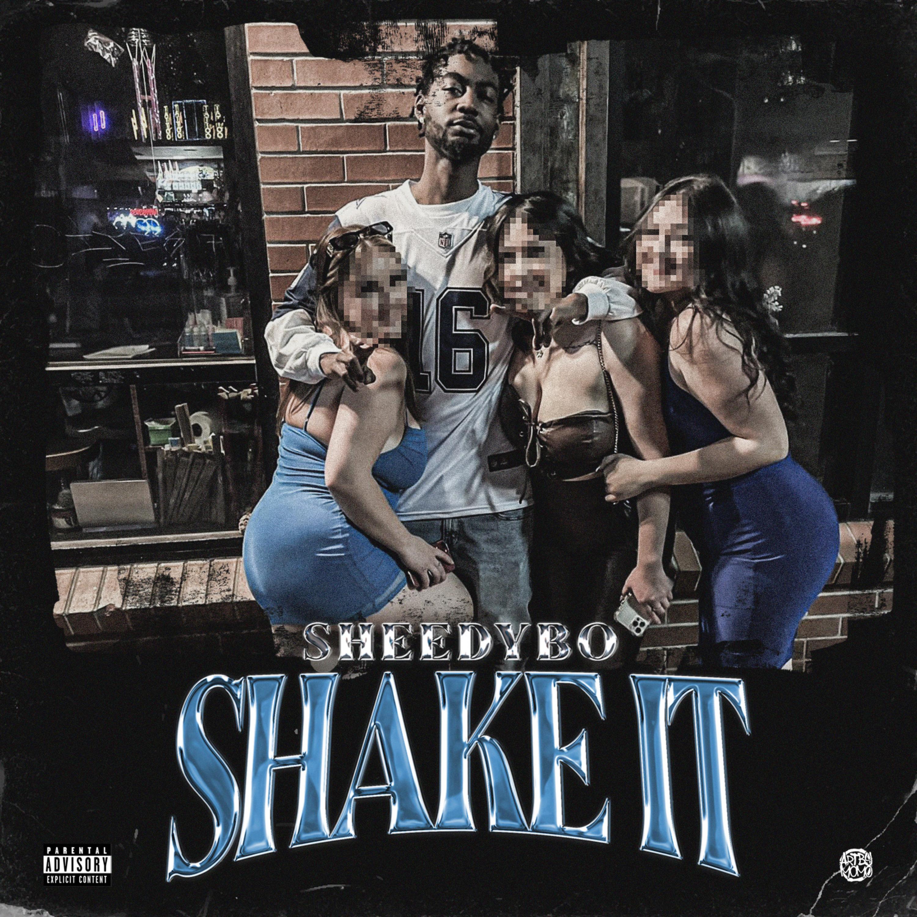 Shake It by SheedyBo cover art