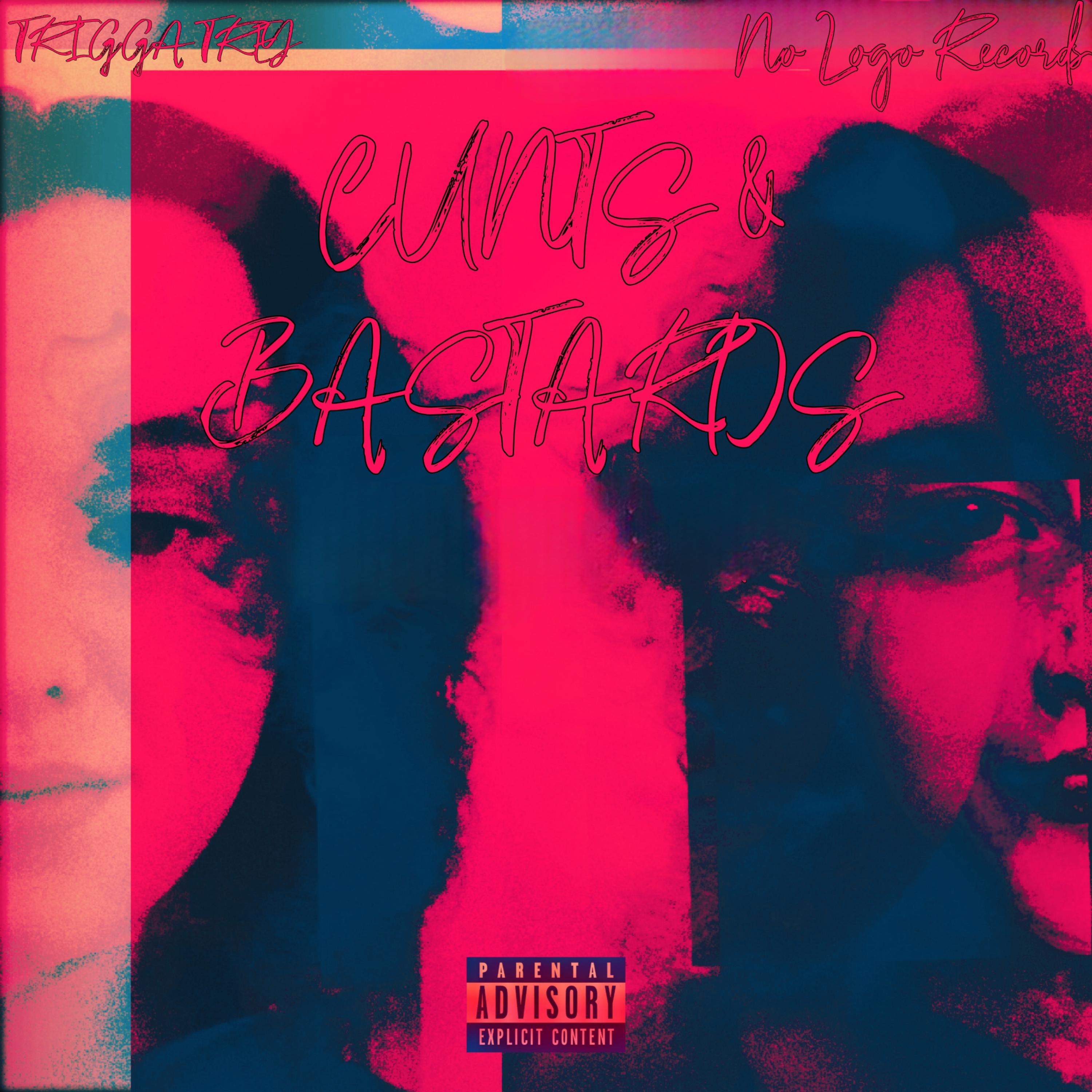 Cunts And Bastards artwork