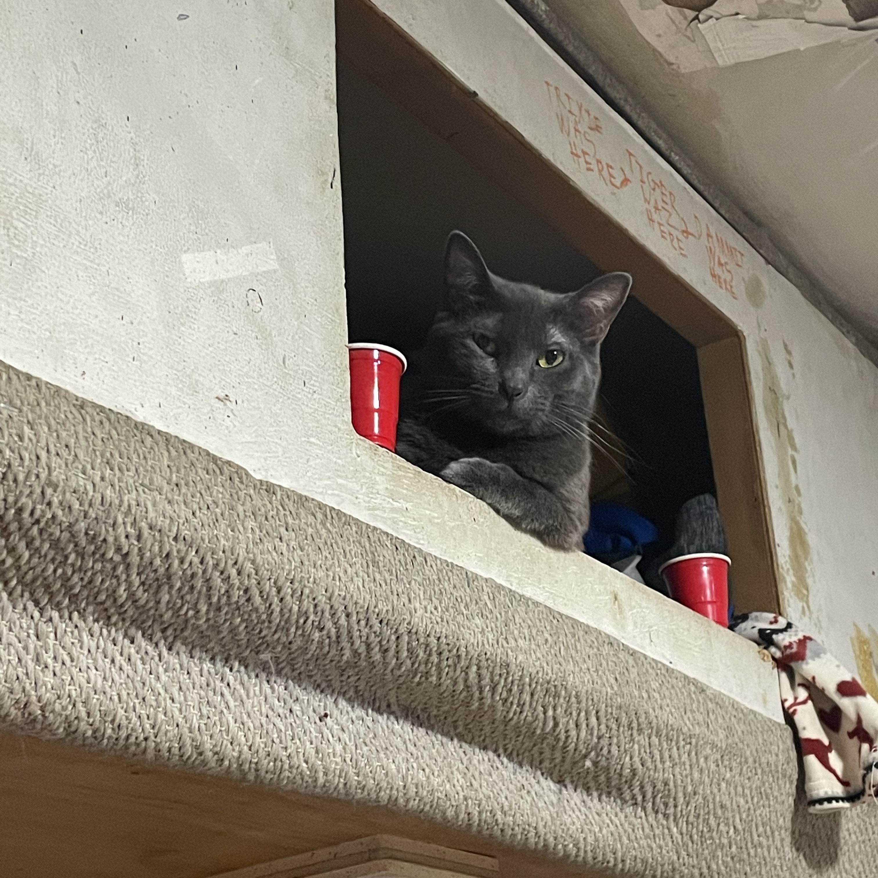 Hell Is My Home artwork