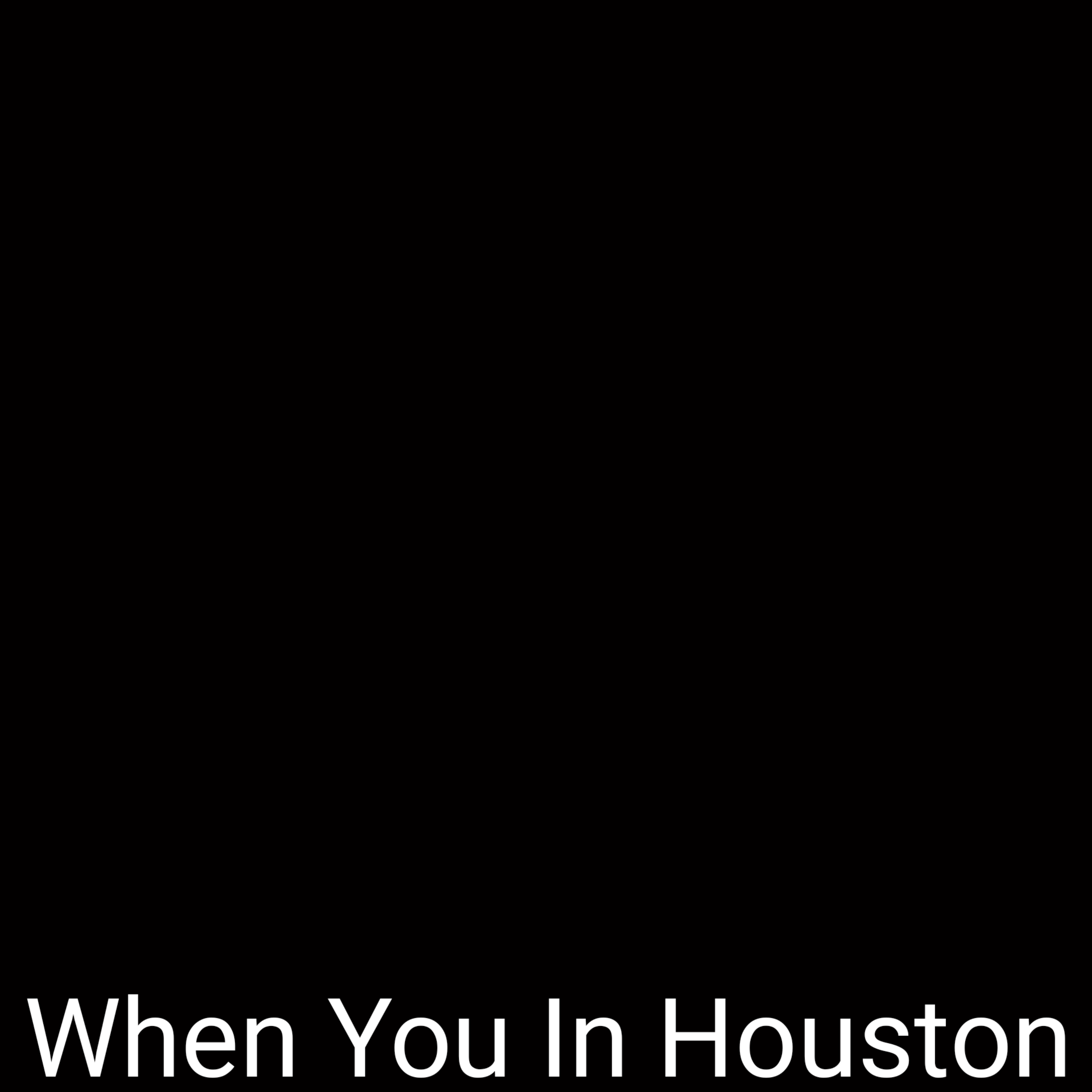 When You In Houston artwork