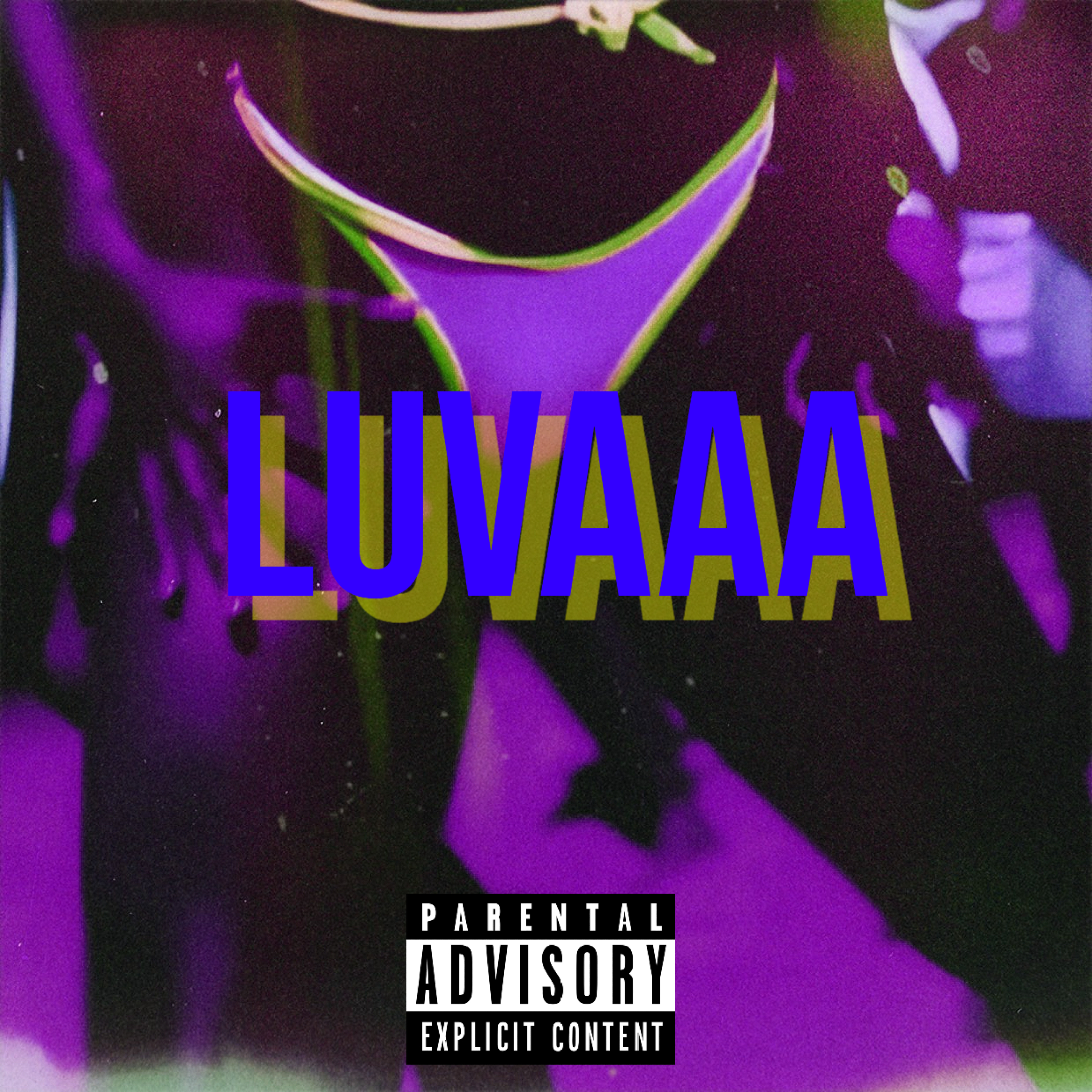 Luvaaa artwork