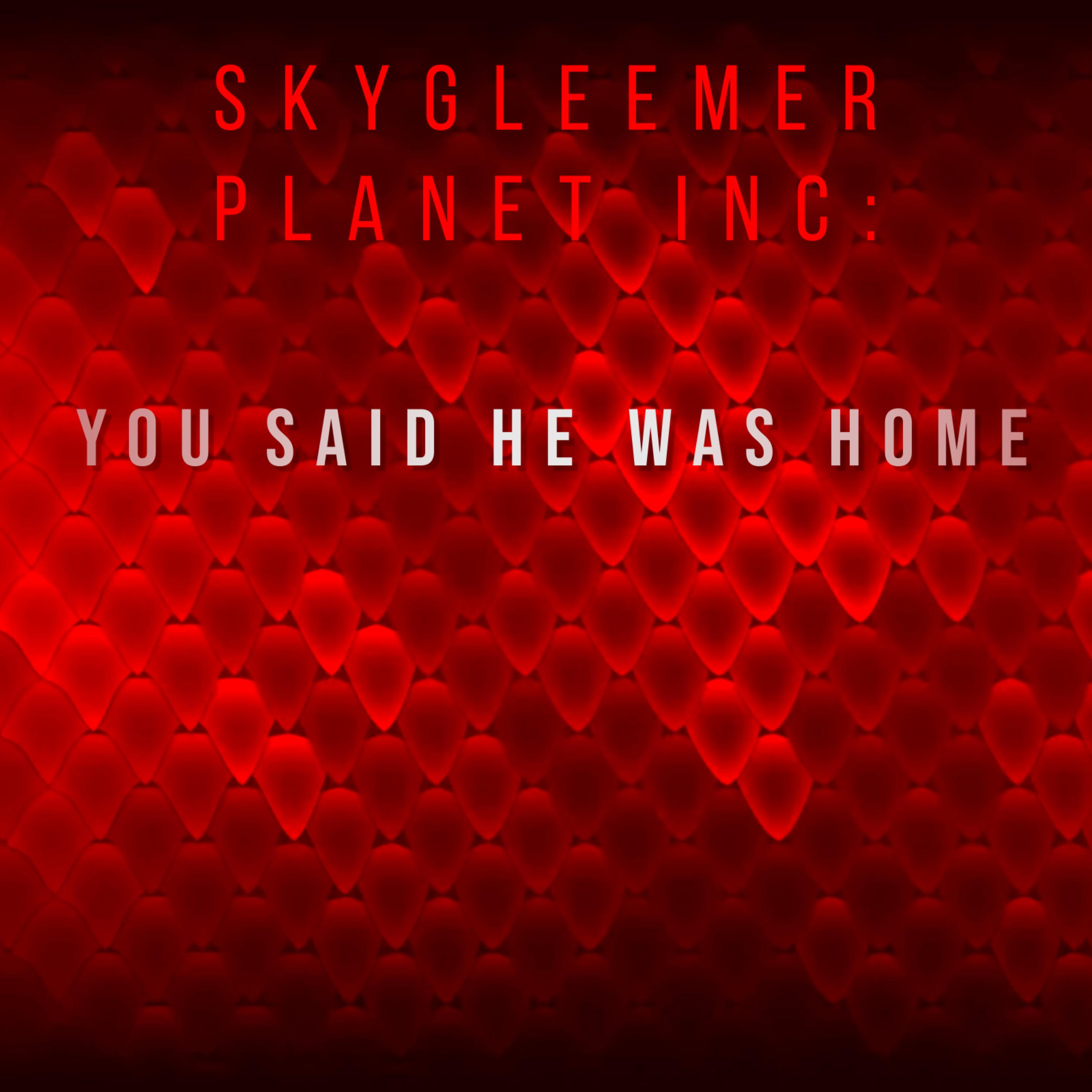 You Said He Was Home artwork