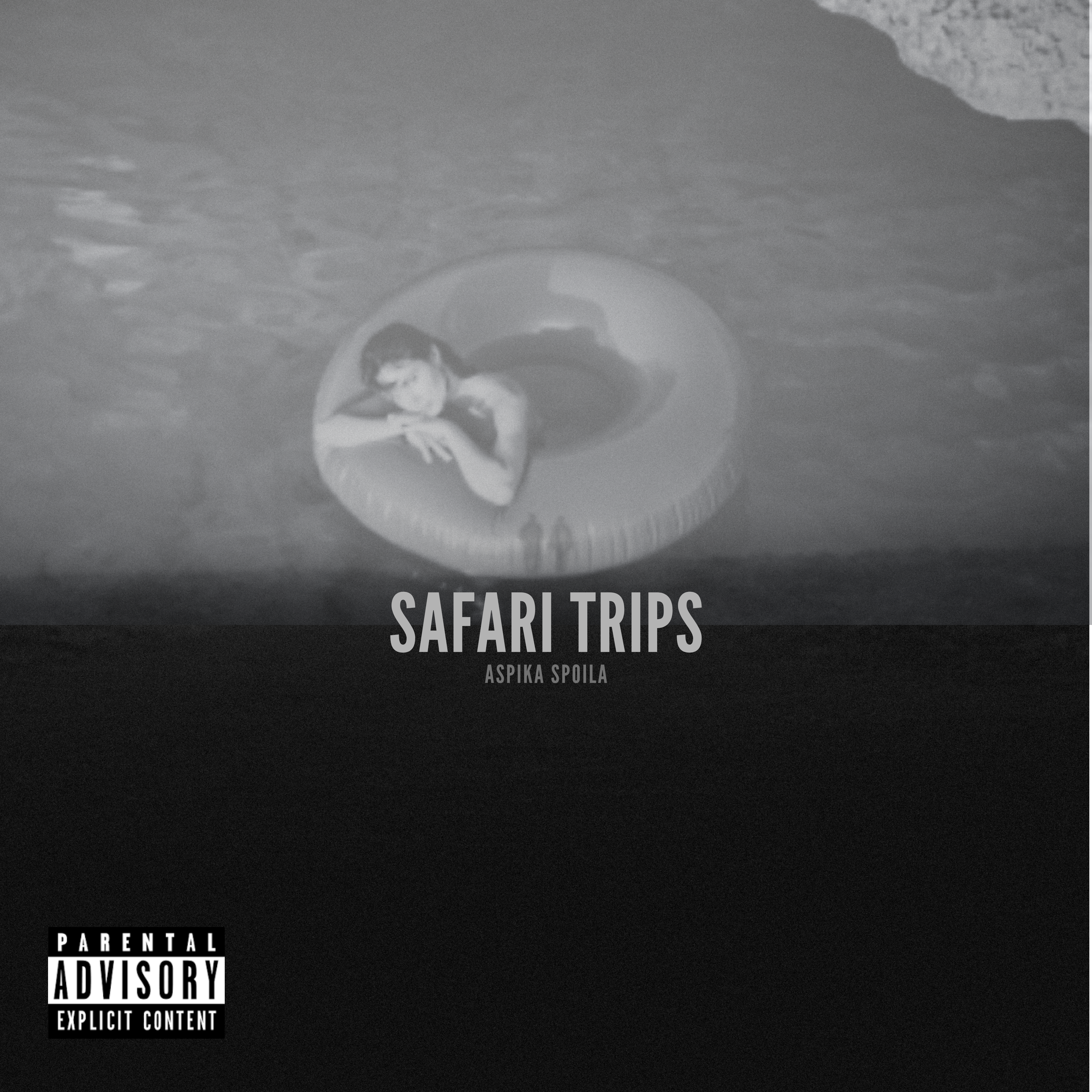 Safari Trips artwork