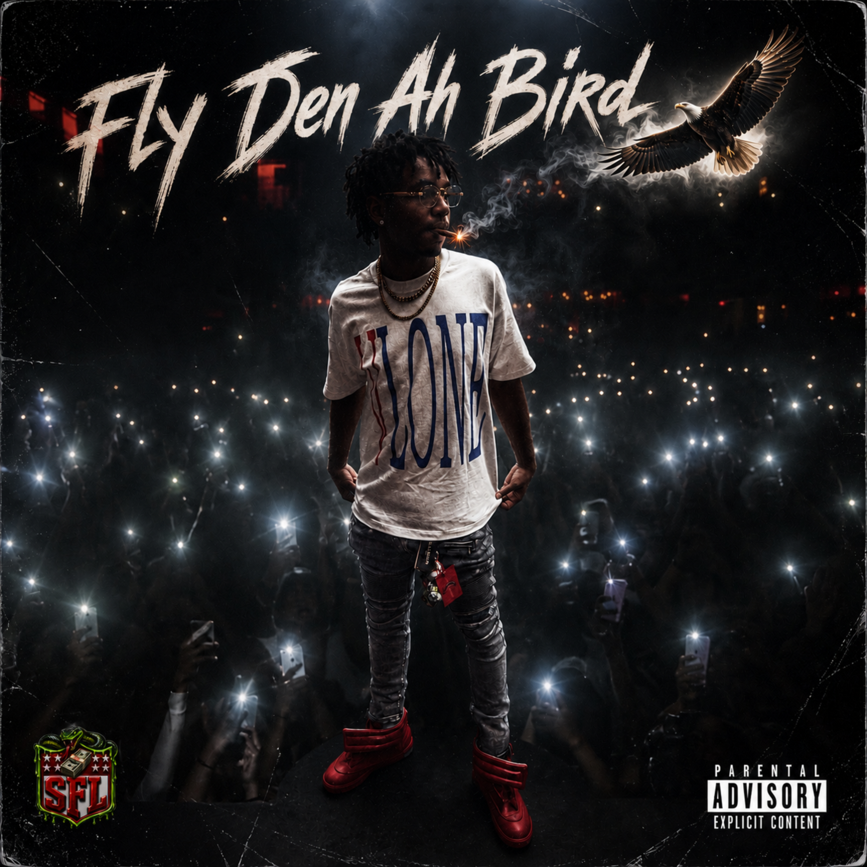 Fly Den Ah Bird by jaygotty cover art