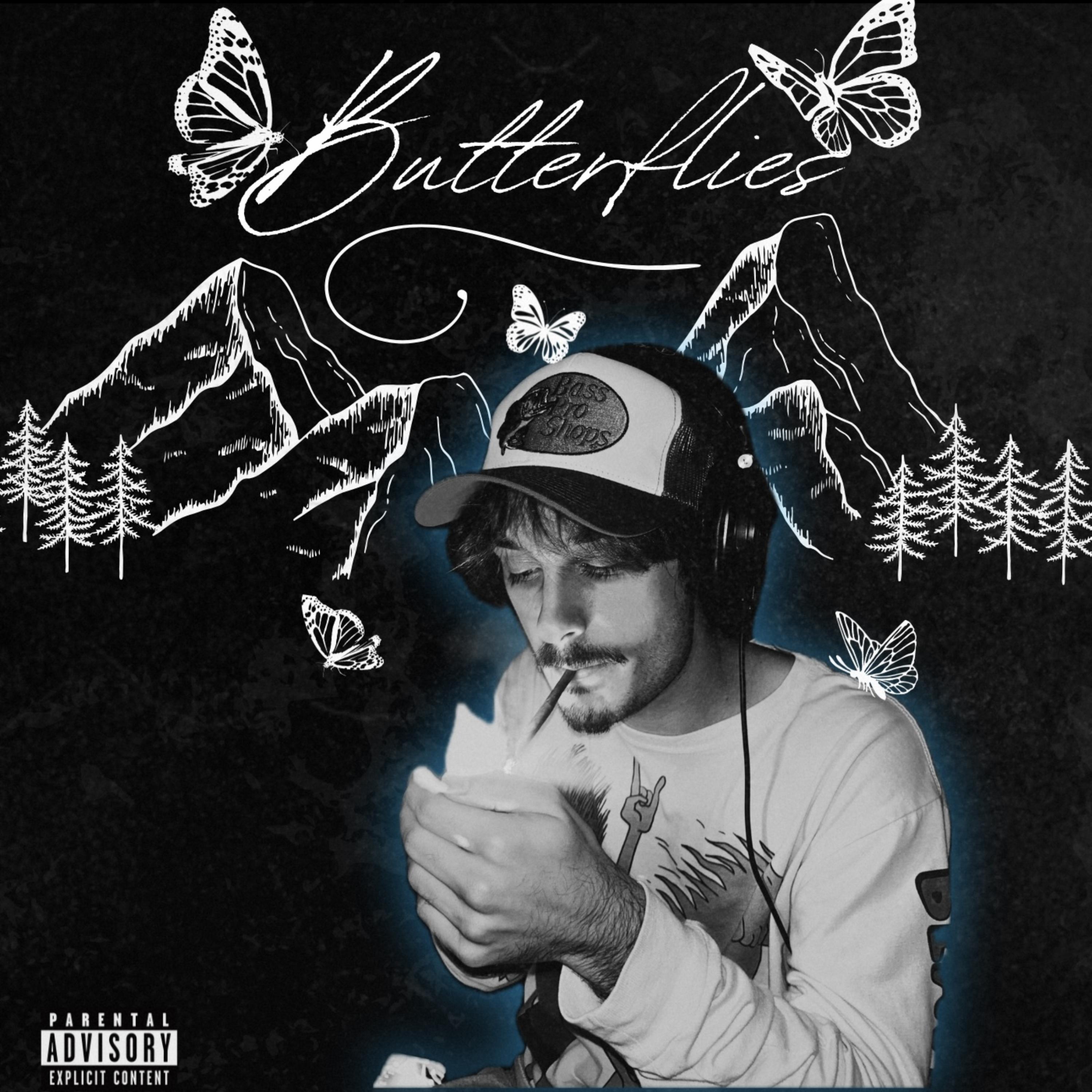 Butterflies artwork