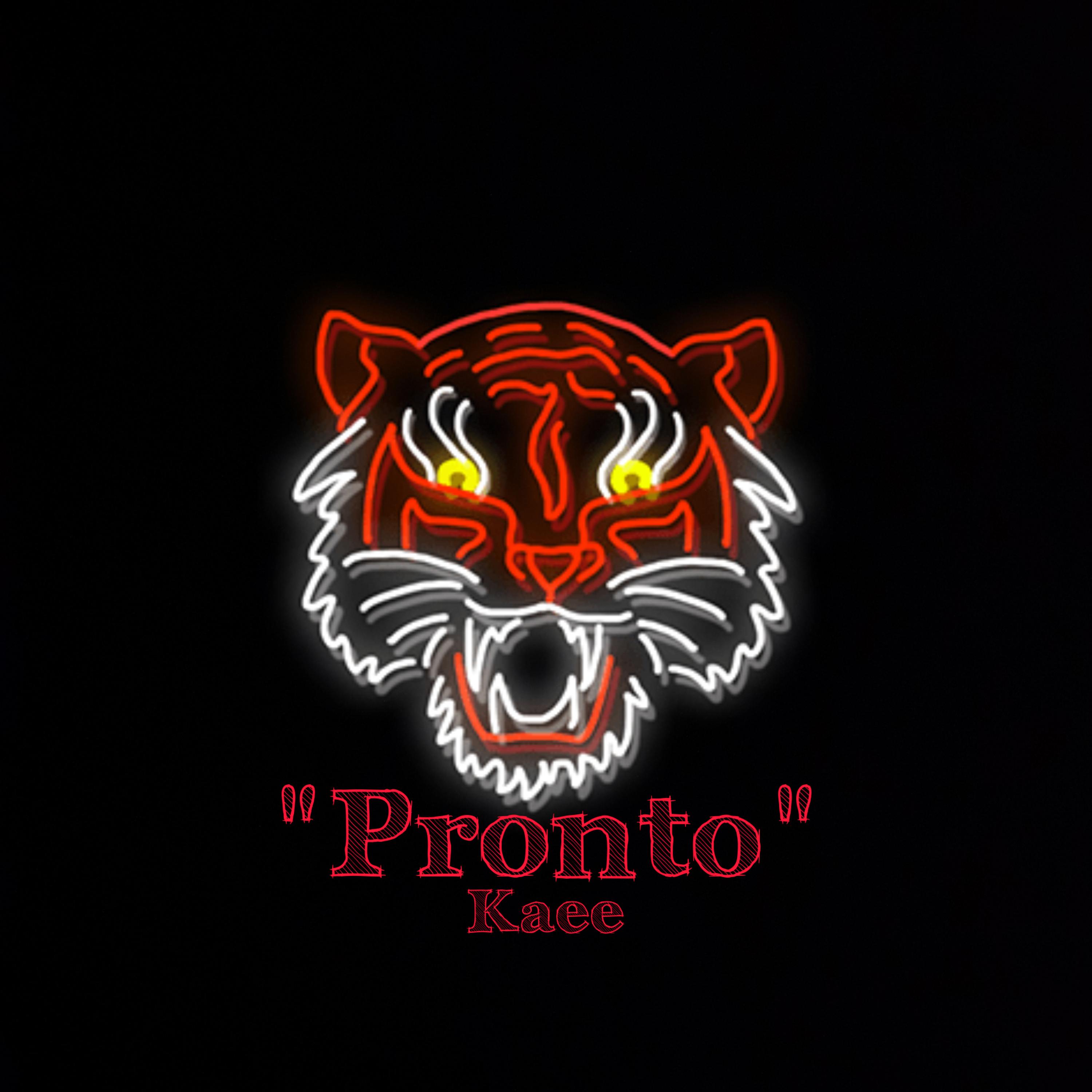Pronto artwork