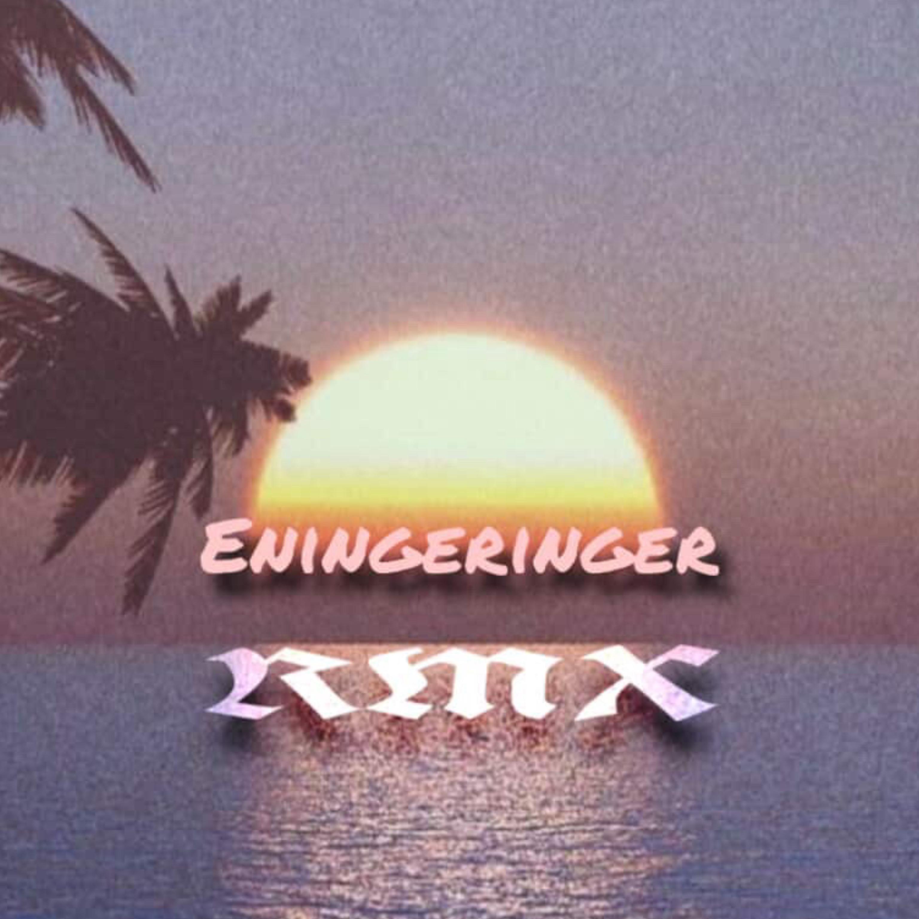Eningeringer (RMX) artwork