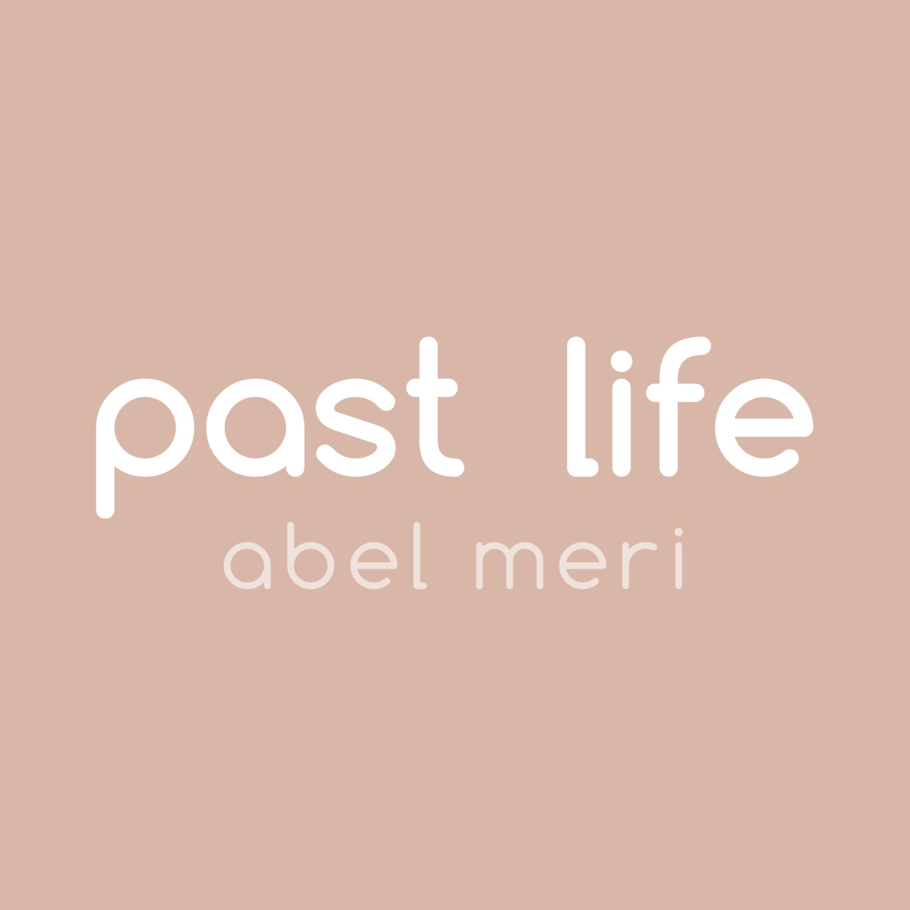 Past Life by Abel Meri cover art