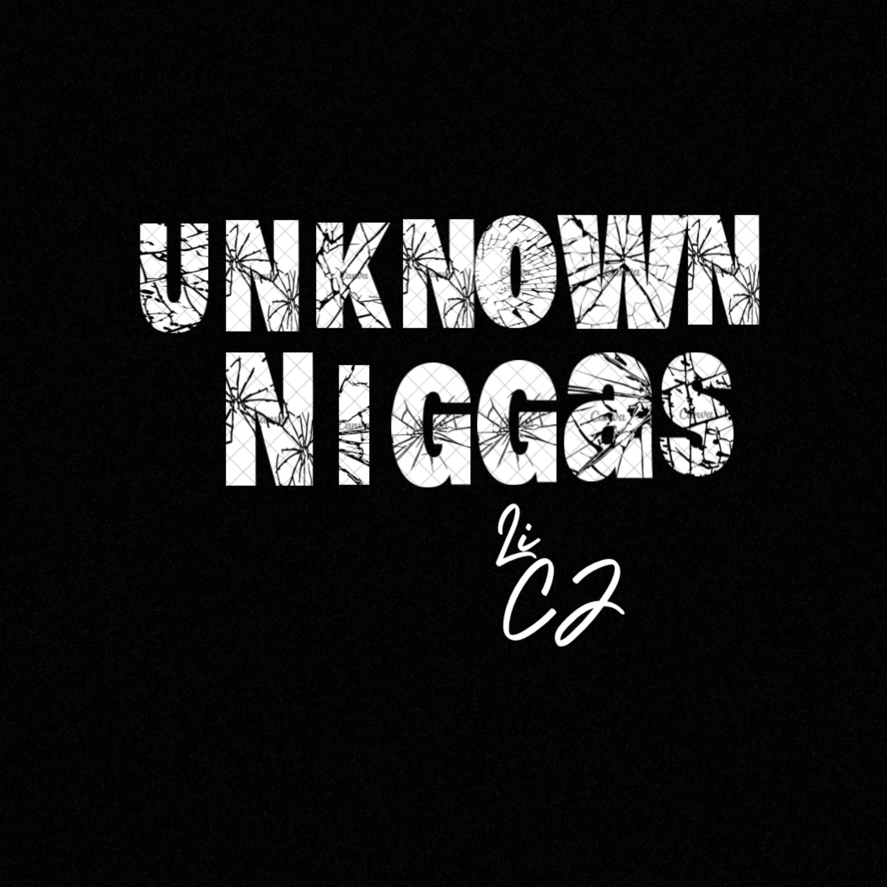 Unknown Niggas artwork