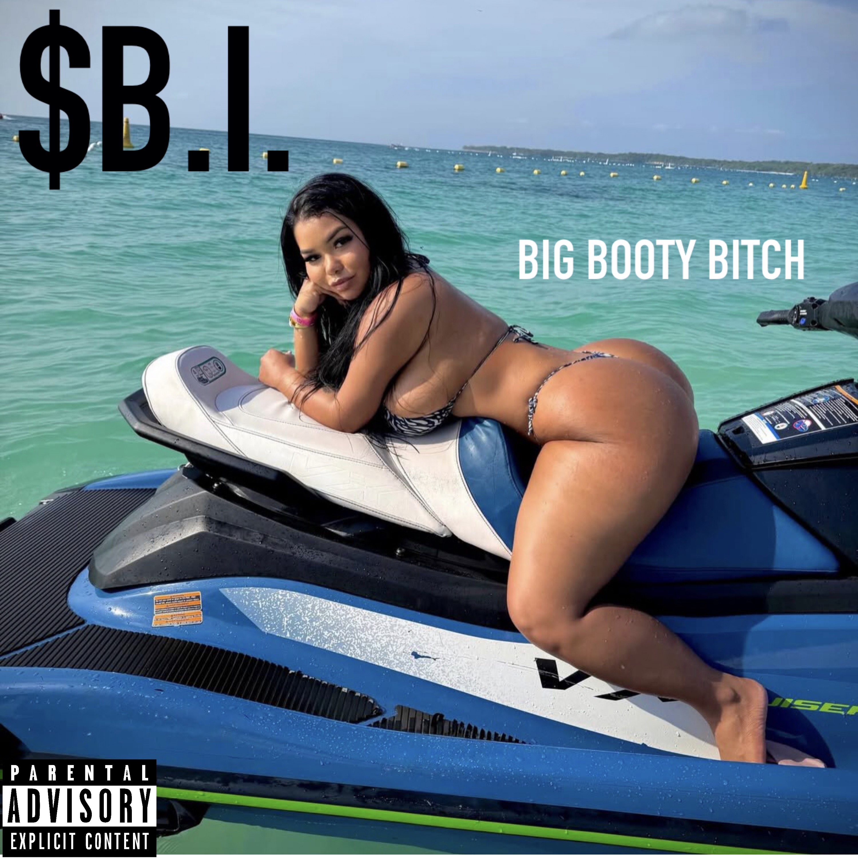 BIG BOOTY BITCH artwork