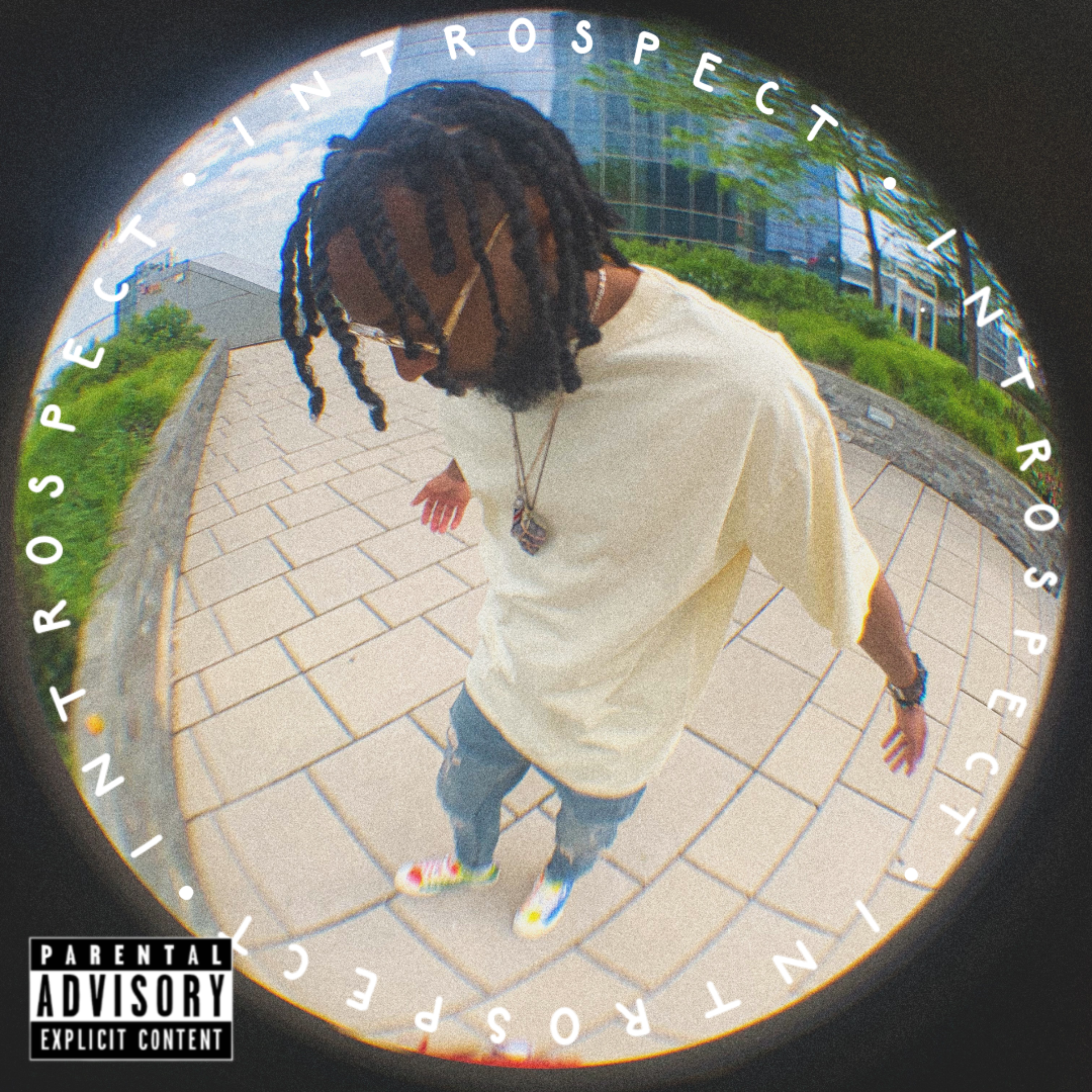 Introspect by Twist the Artist cover art