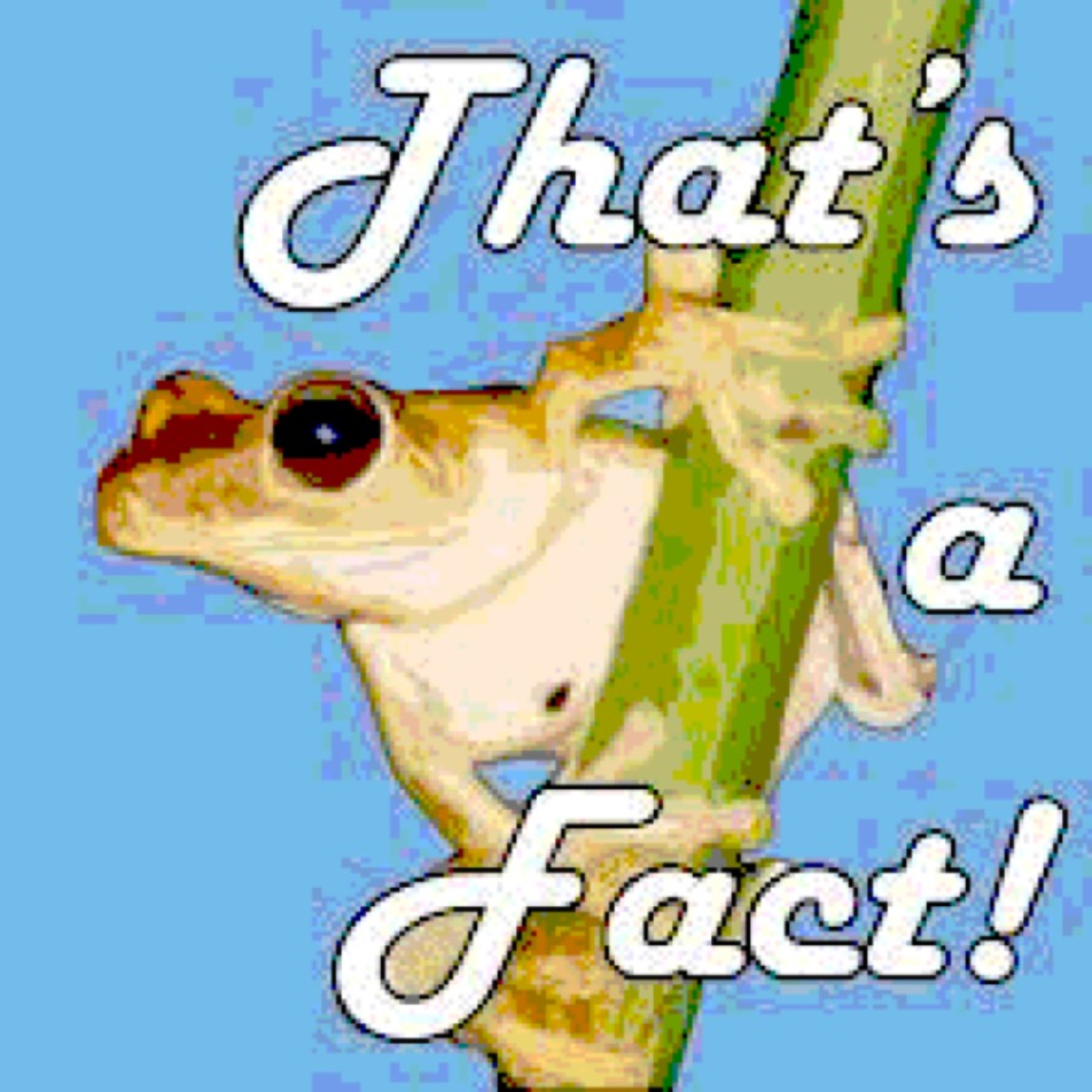 That's A Fact artwork