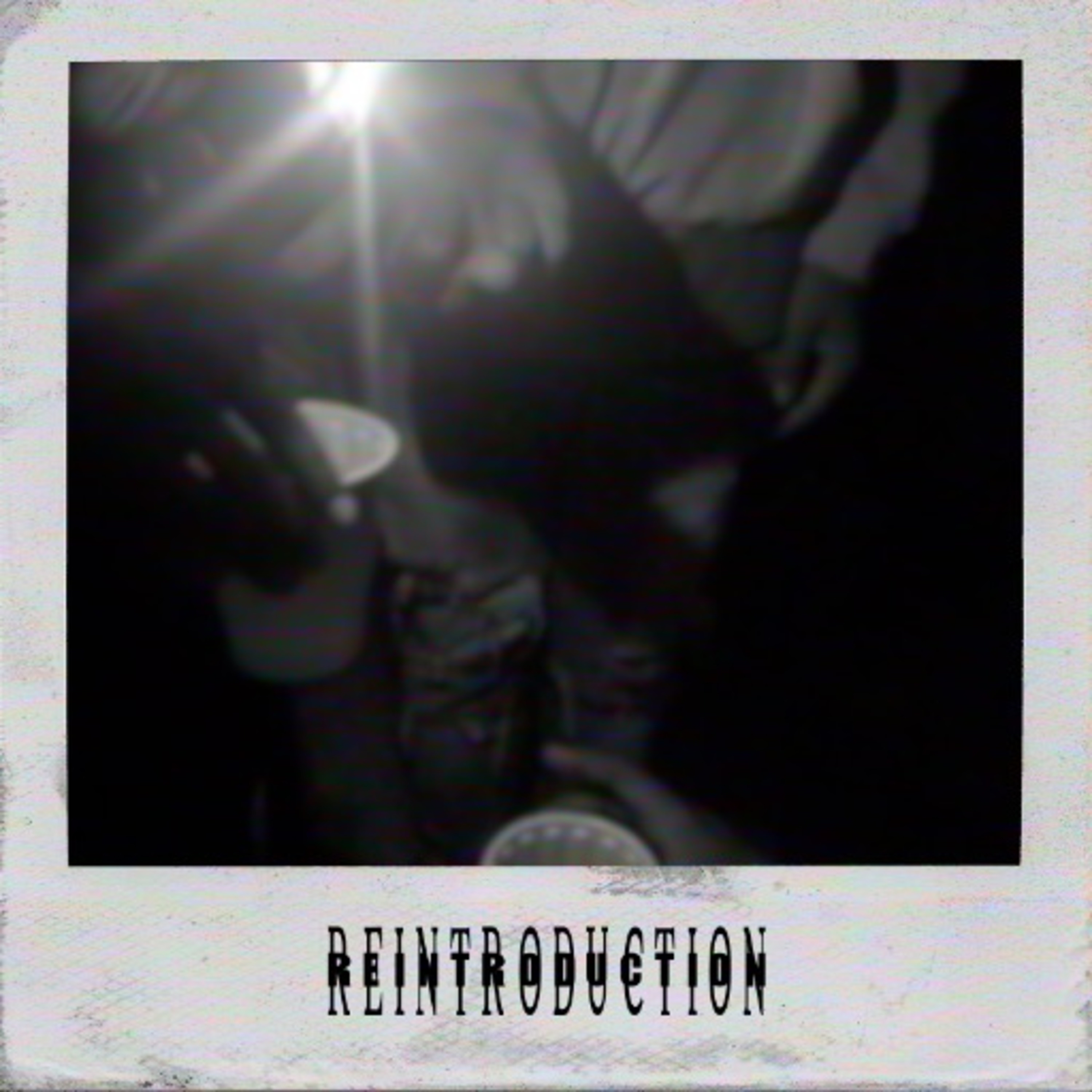 Reintroduction artwork