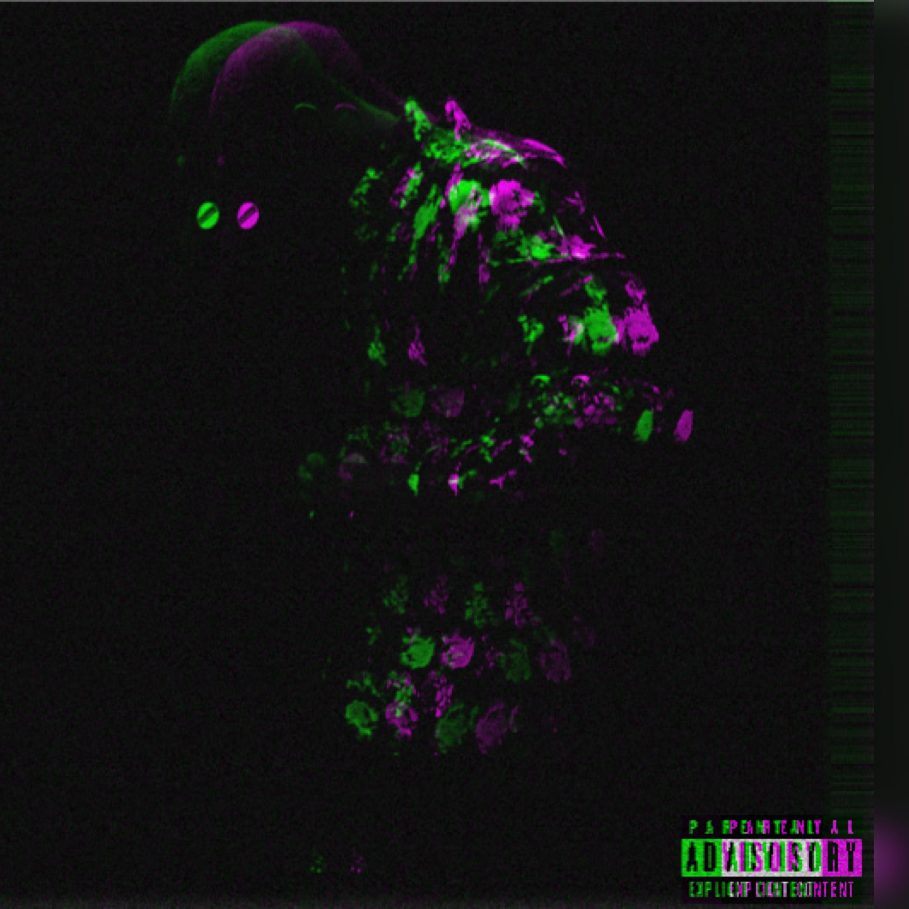 94 artwork