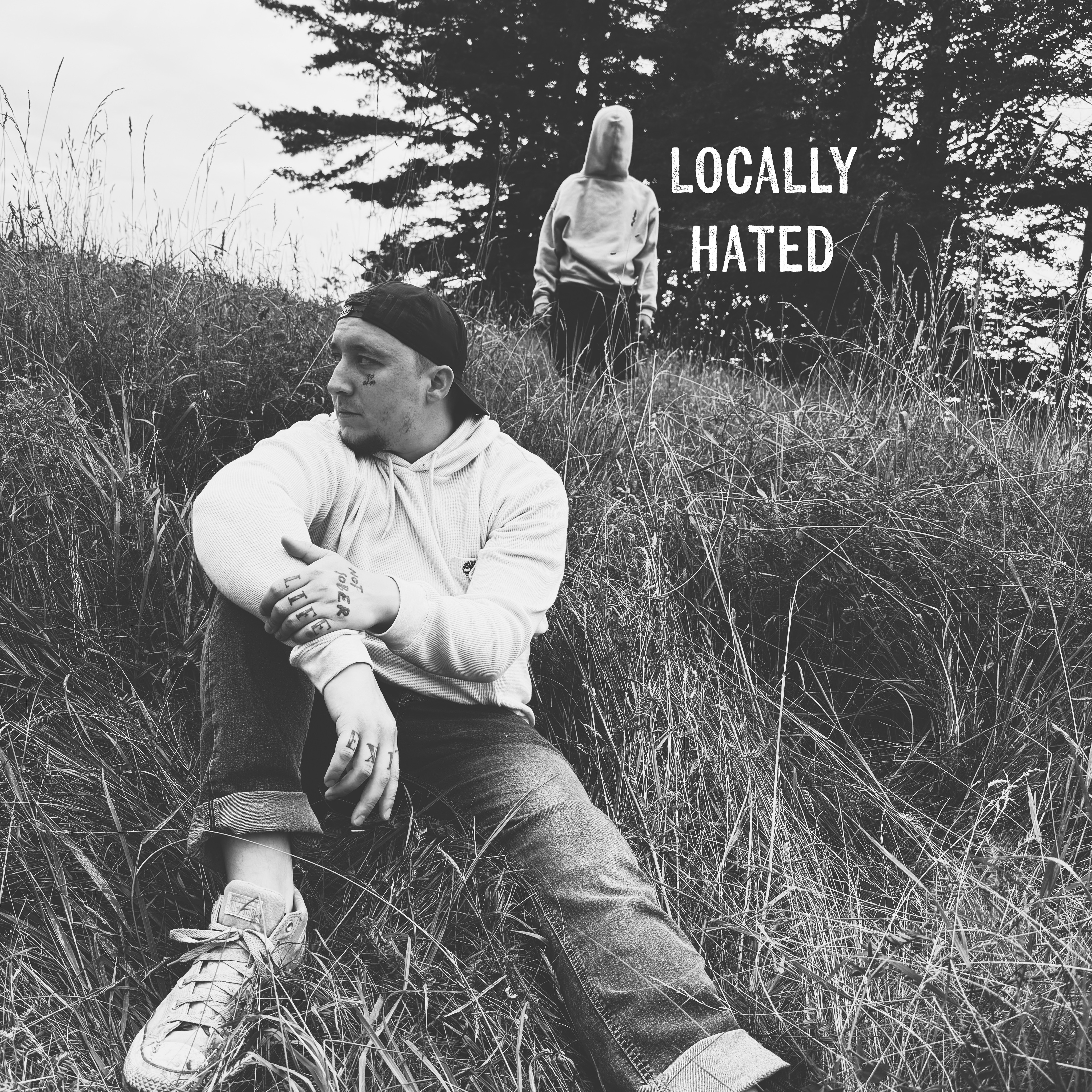 Locally Hated artwork