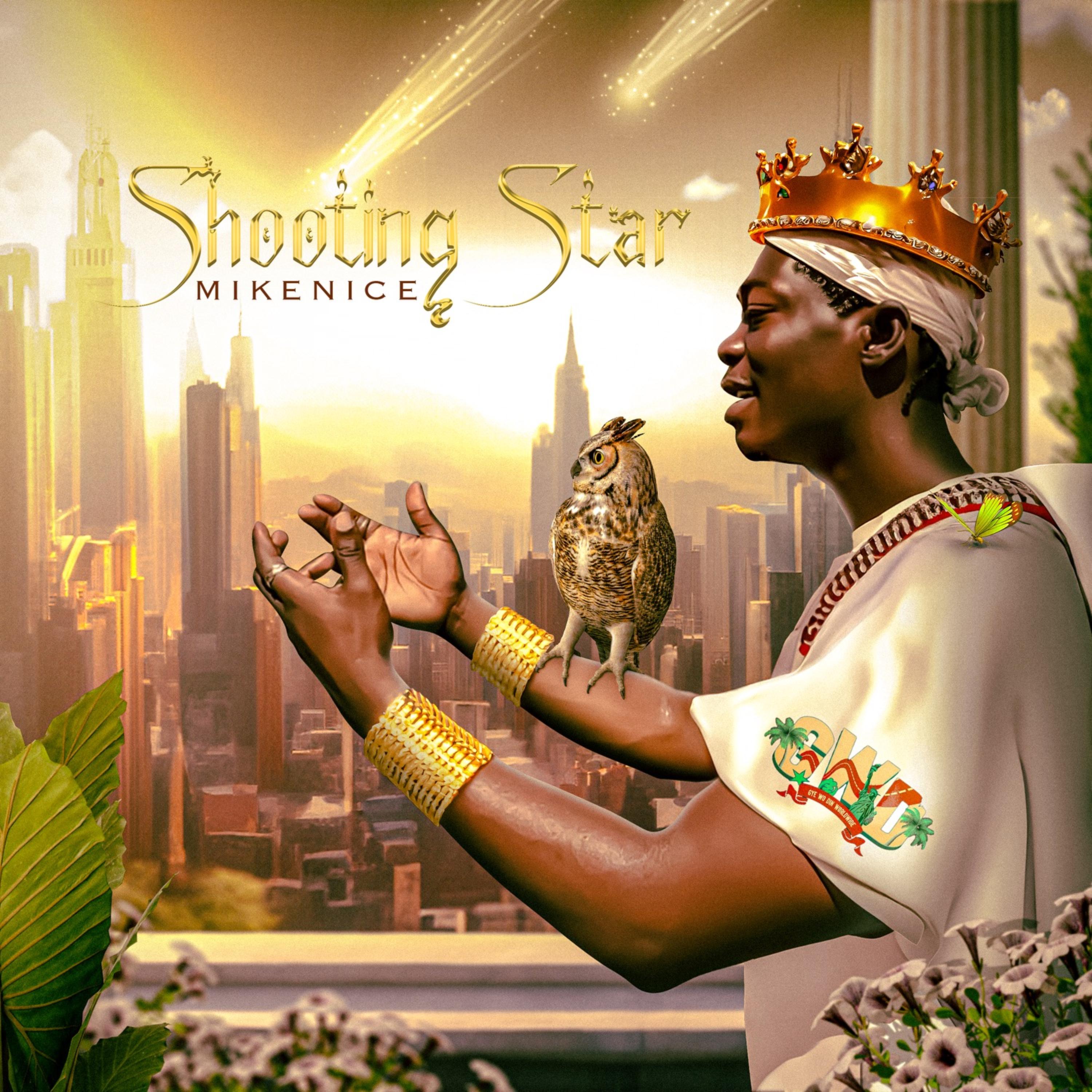 Shooting Star artwork