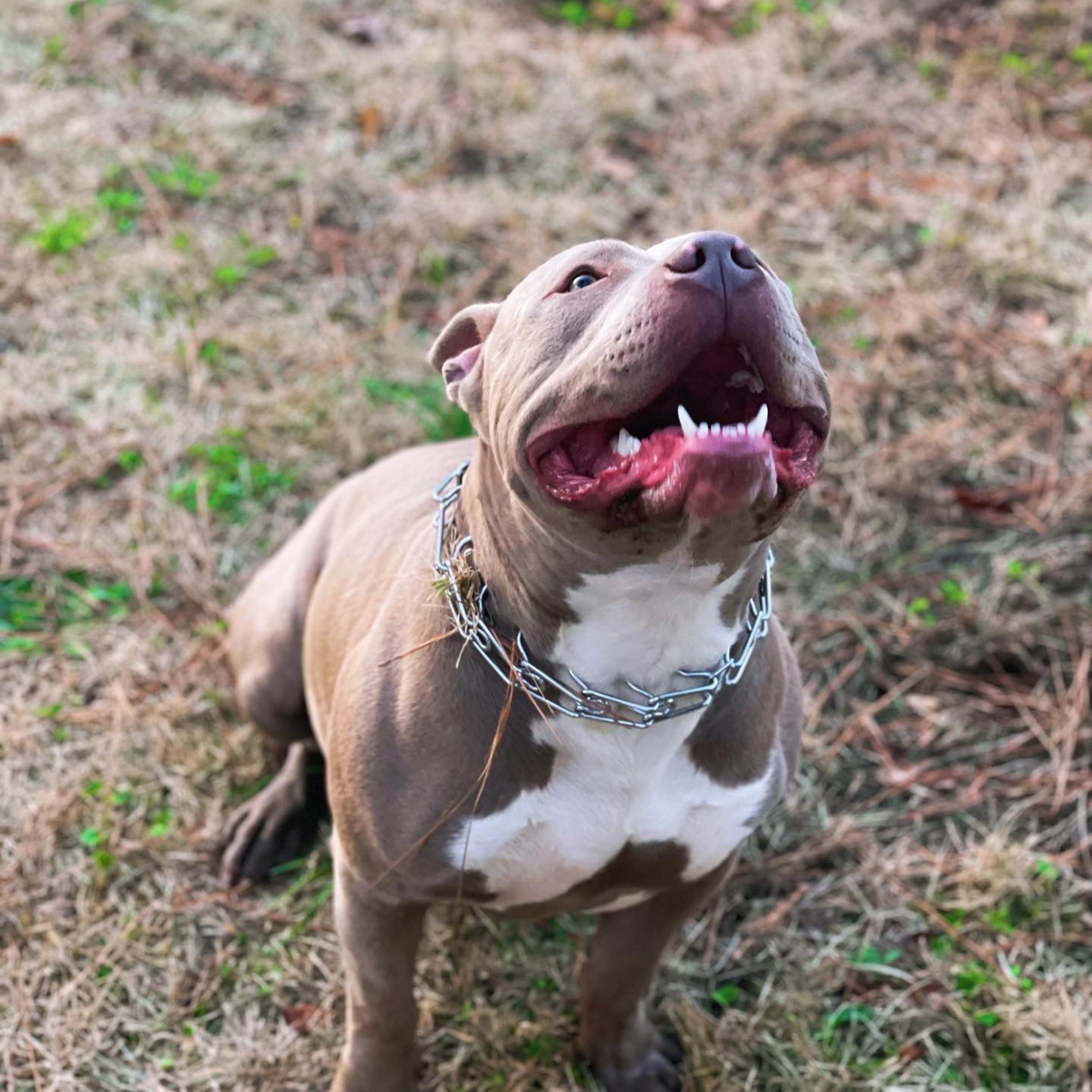 Worried Bout Shit artwork