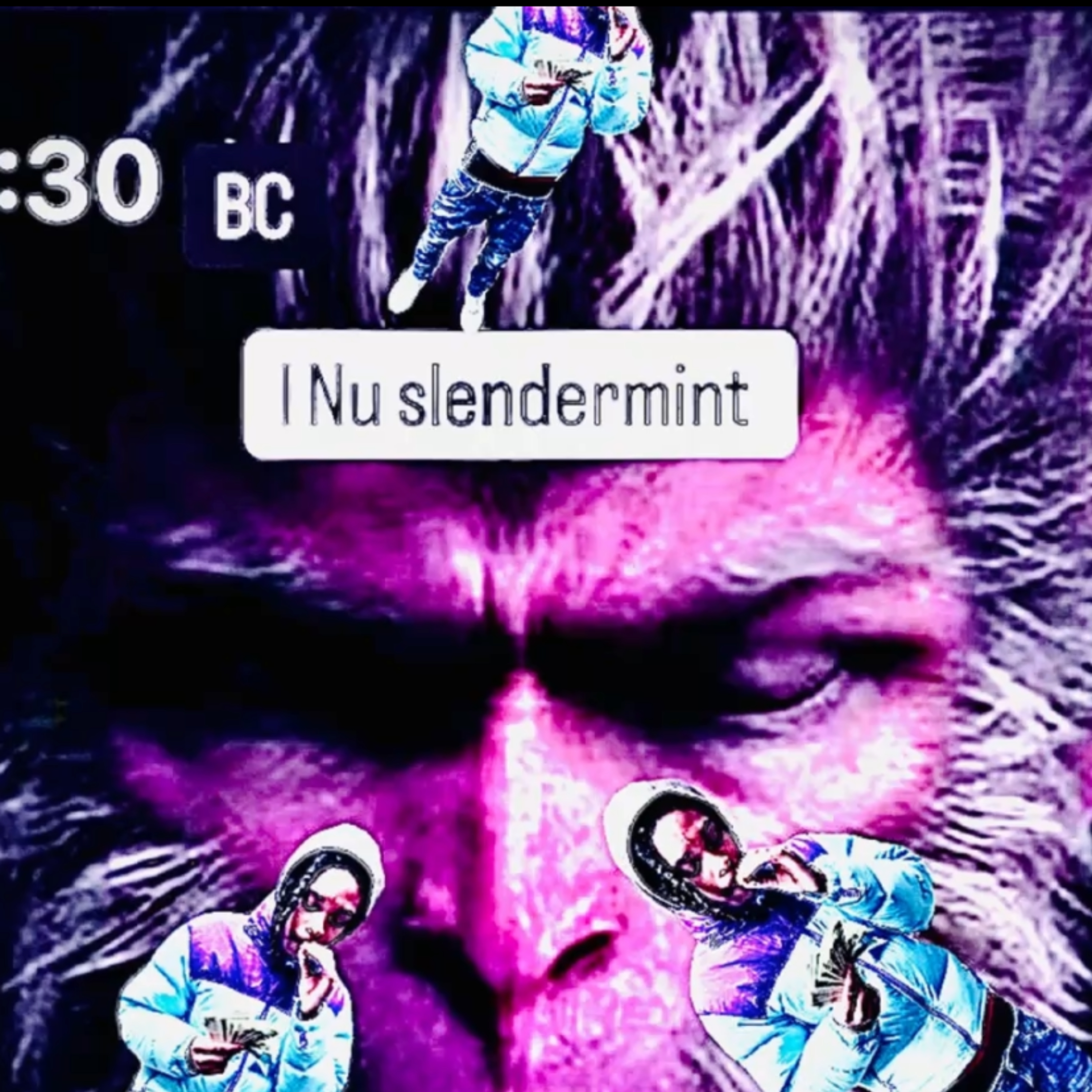 I Nu Slendermint artwork