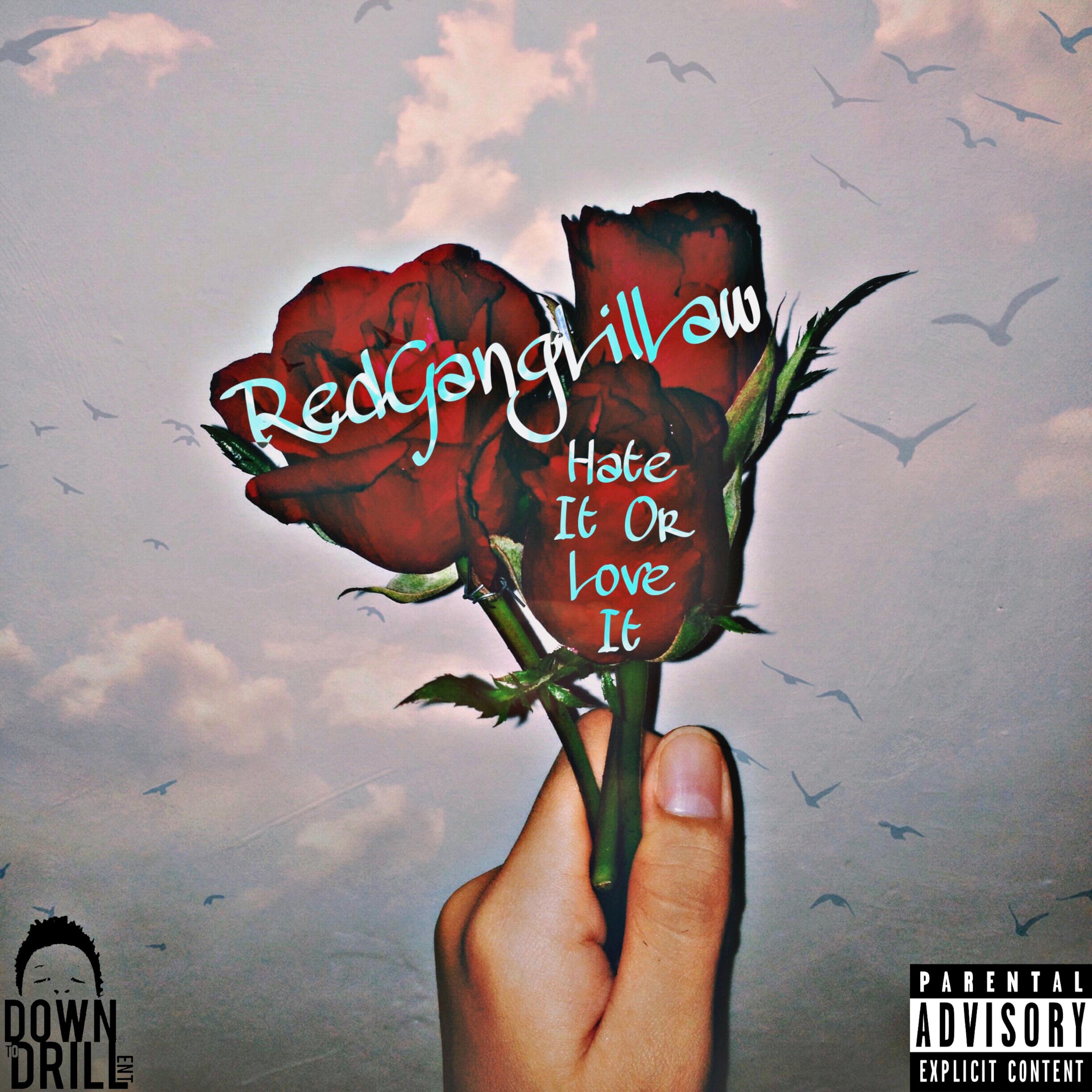 Hate It Or Love It artwork