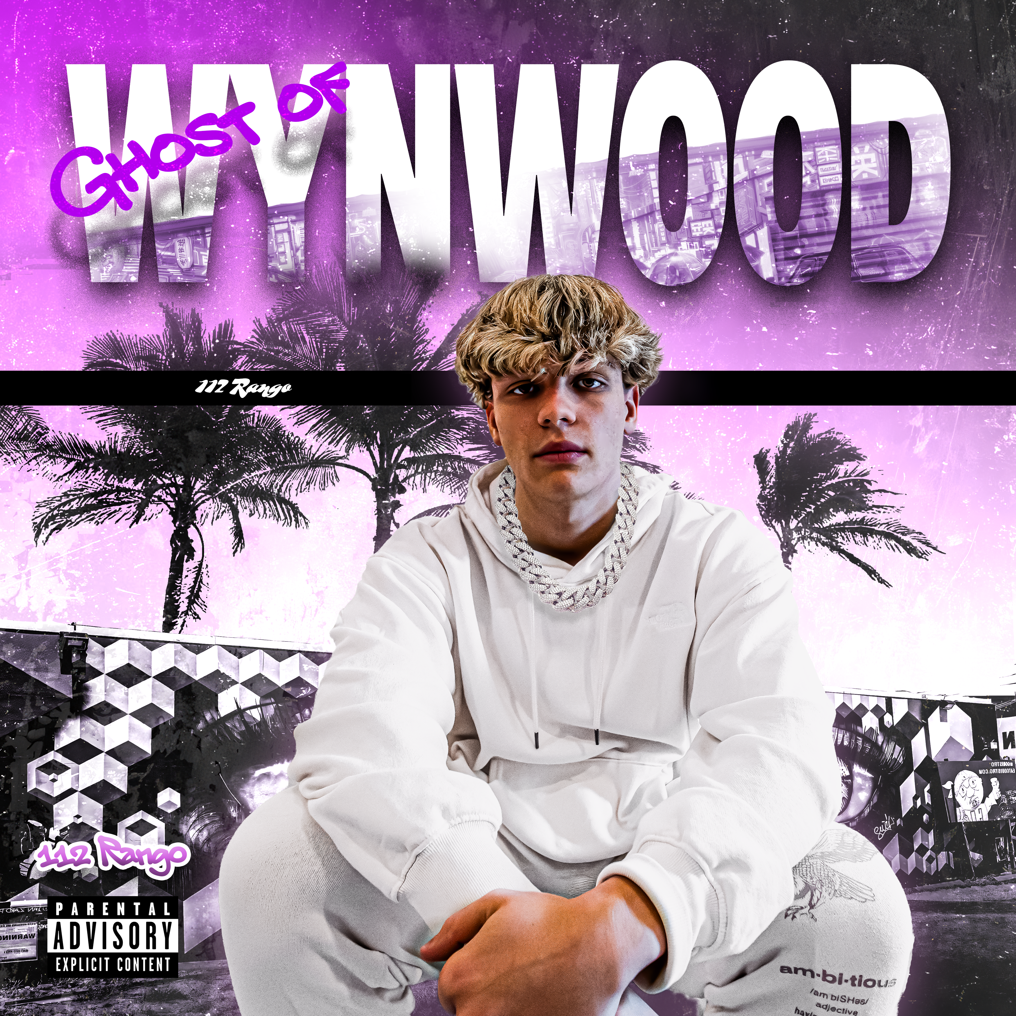 Ghost of Wynwood artwork