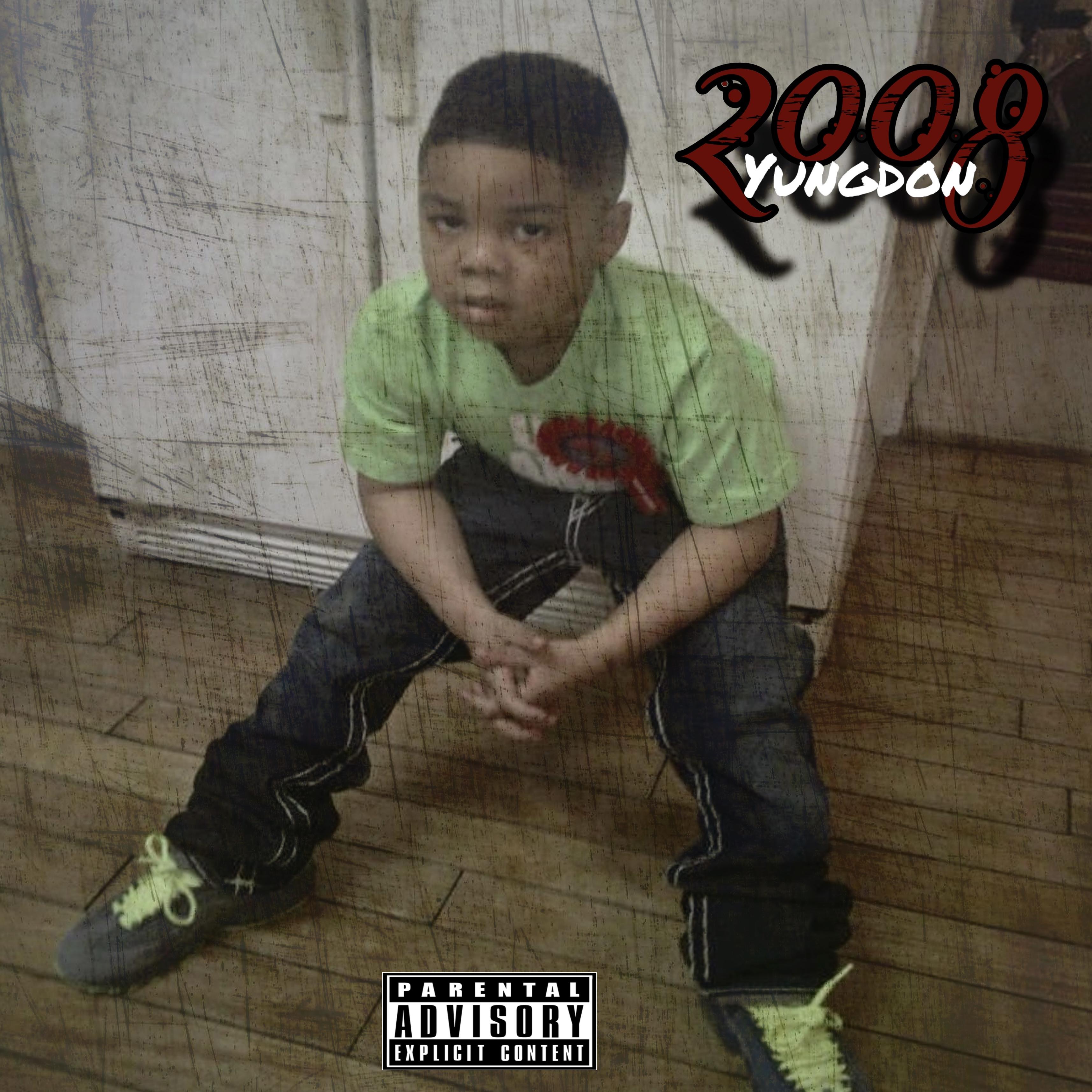 2008 artwork
