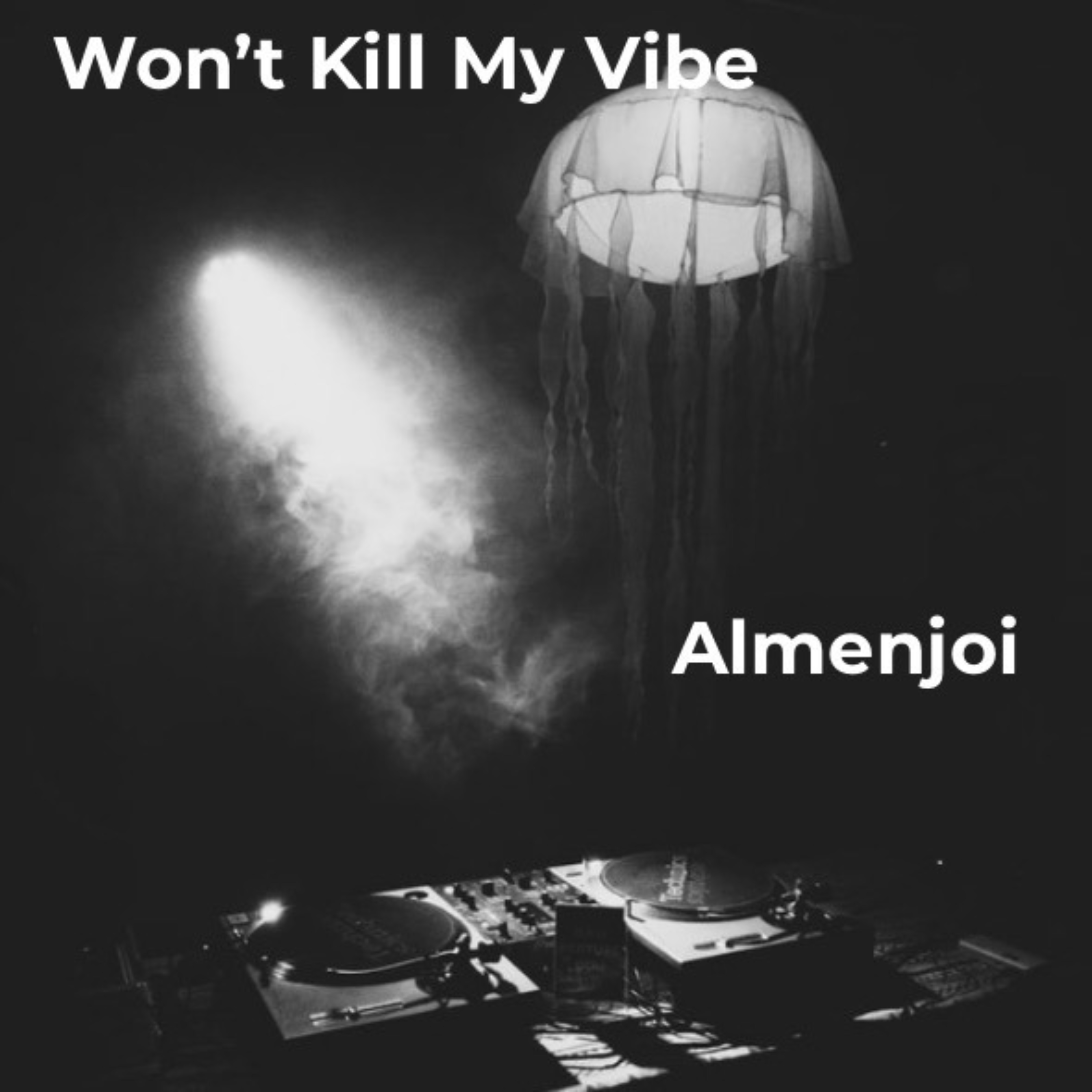 Wont Kill My Vibe artwork