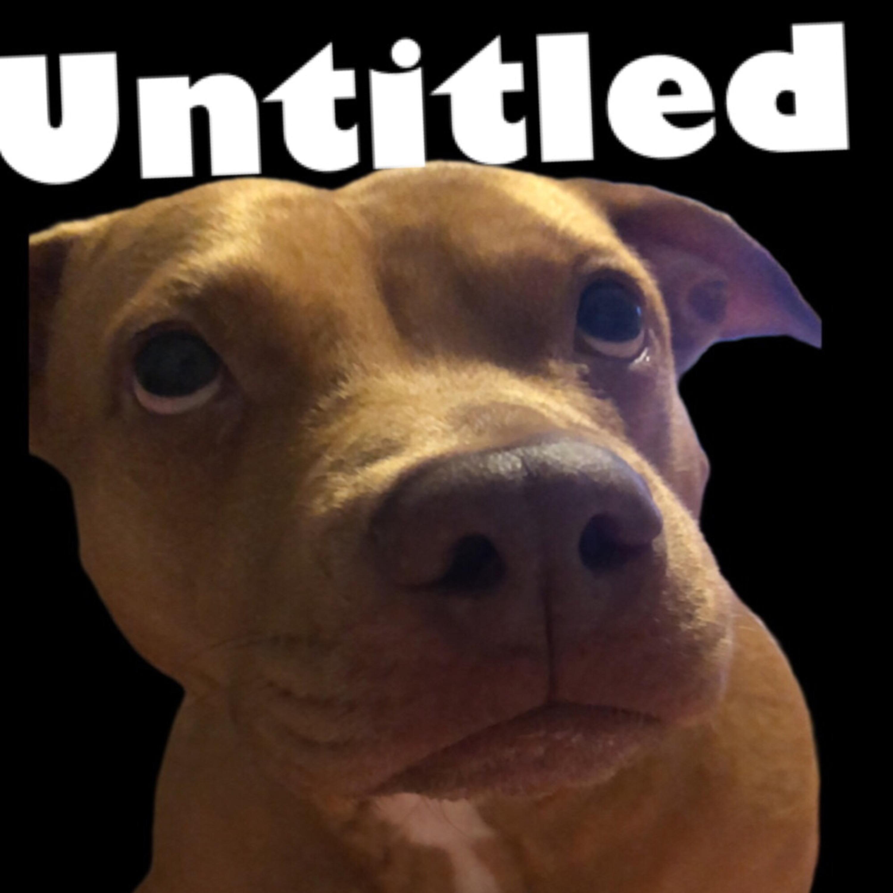 Untitled Freestyle artwork